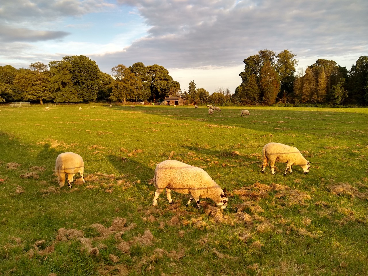 Fwd:			
					</div><!-- .entry-content -->
		
		<footer>
		
		
		
					
					</footer><!-- .entry-meta -->
	</article><!-- #post -->
				
											
				
		
<hr class=