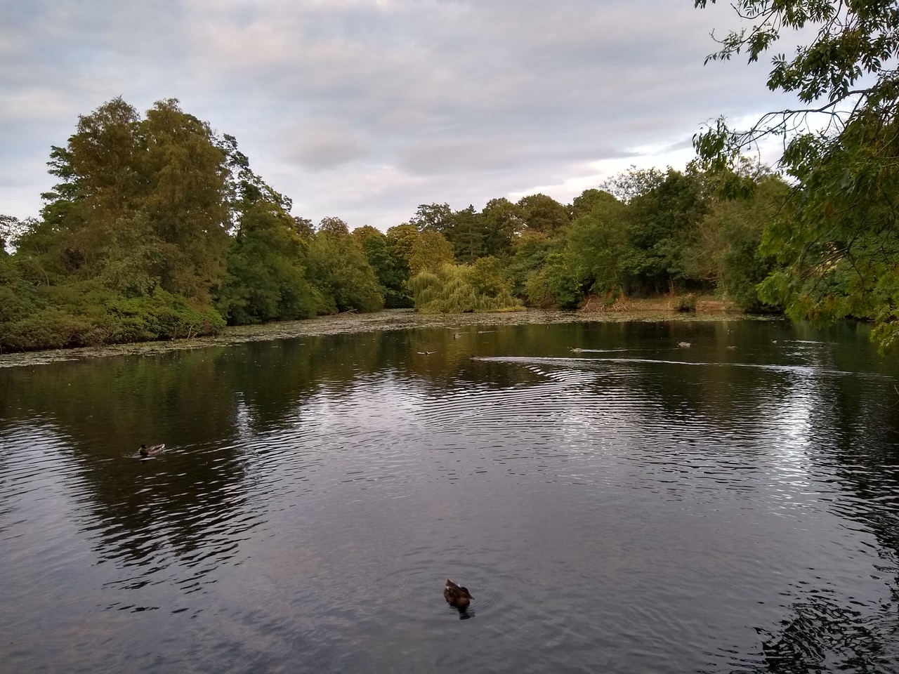 Fwd:			
					</div><!-- .entry-content -->
		
		<footer>
		
		
		
					
					</footer><!-- .entry-meta -->
	</article><!-- #post -->
				
											
				
		
<hr class=