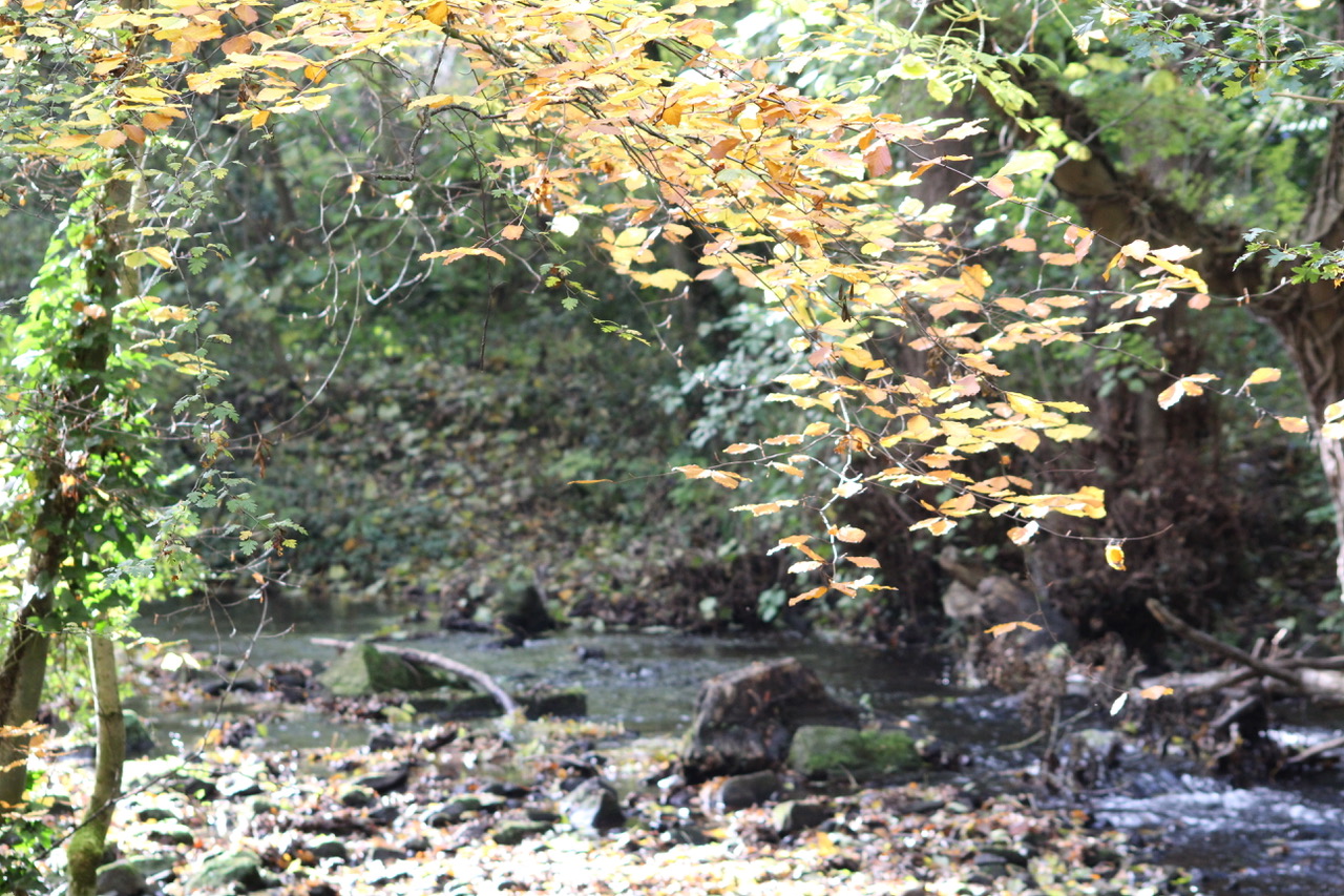 Fwd:			
					</div><!-- .entry-content -->
		
		<footer>
		
		
		
					
					</footer><!-- .entry-meta -->
	</article><!-- #post -->
				
											
				
		
<hr class=