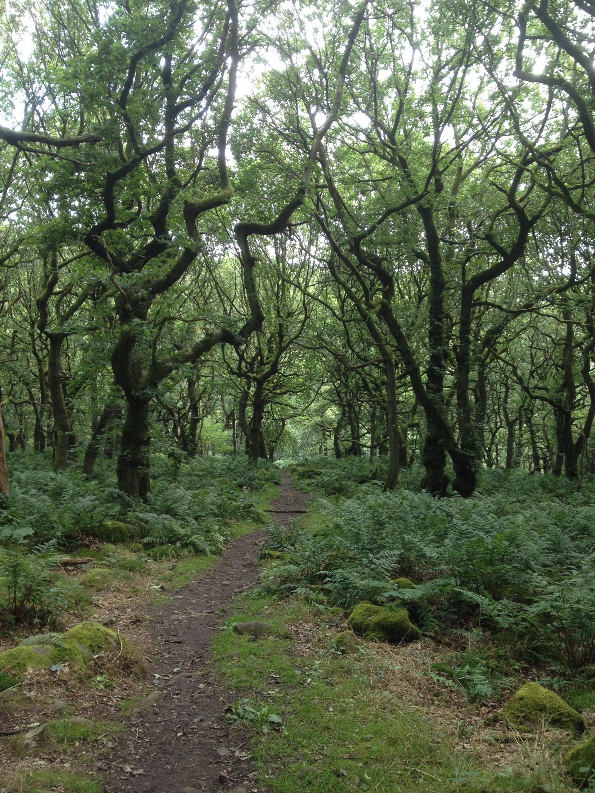 Fwd: Grindleford /Padley Gorge			
					</div><!-- .entry-content -->
		
		<footer>
		
		
		
					
					</footer><!-- .entry-meta -->
	</article><!-- #post -->
				
											
				
		
<hr class=