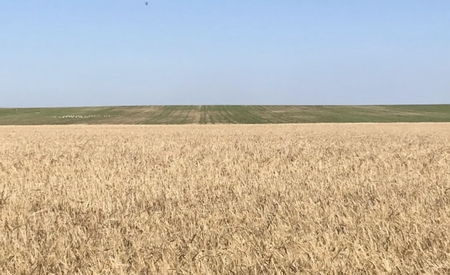 Fwd: Open Fields			
					</div><!-- .entry-content -->
		
		<footer>
		
		
		
					
					</footer><!-- .entry-meta -->
	</article><!-- #post -->
				
											
				
		
<hr class=