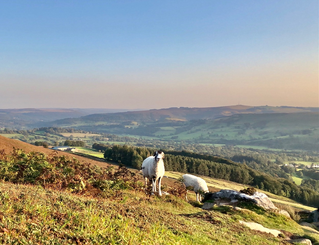 Fwd: Bamford Edge Peak District. Keith Bown			
					</div><!-- .entry-content -->
		
		<footer>
		
		
		
					
					</footer><!-- .entry-meta -->
	</article><!-- #post -->
				
											
				
		
<hr class=