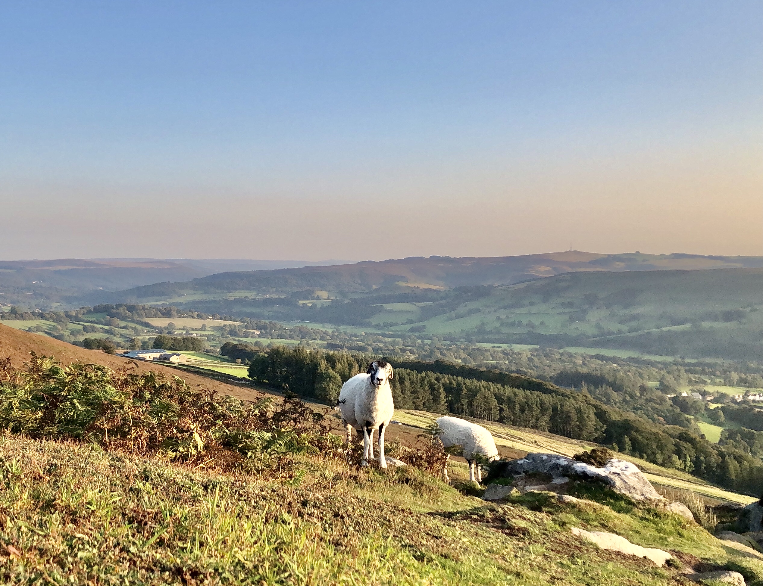 Fwd: Bamford Edge Peak District. Keith Bown			
					</div><!-- .entry-content -->
		
		<footer>
		
		
		
					
					</footer><!-- .entry-meta -->
	</article><!-- #post -->
				
											
				
		
<hr class=