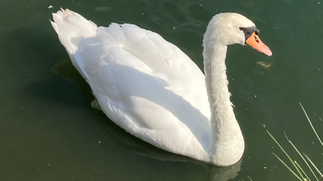 Fwd: Rother Valley			
					</div><!-- .entry-content -->
		
		<footer>
		
		
		
					
					</footer><!-- .entry-meta -->
	</article><!-- #post -->
				
											
				
		
<hr class=