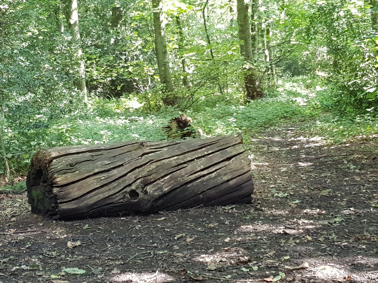 Fwd:			
					</div><!-- .entry-content -->
		
		<footer>
		
		
		
					
					</footer><!-- .entry-meta -->
	</article><!-- #post -->
				
											
				
		
<hr class=