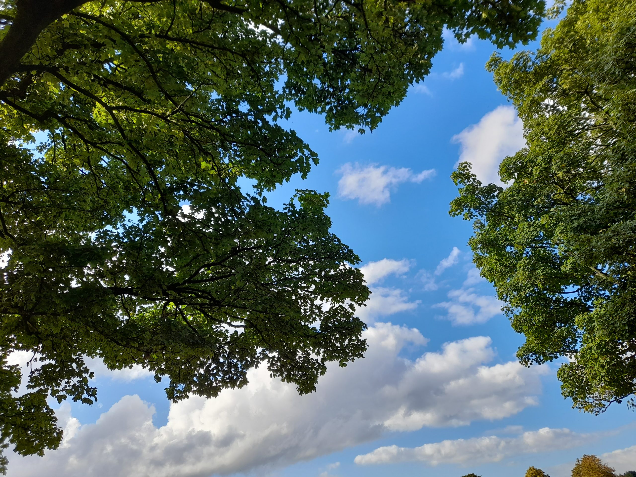 Fwd:			
					</div><!-- .entry-content -->
		
		<footer>
		
		
		
					
					</footer><!-- .entry-meta -->
	</article><!-- #post -->
				
											
				
		
<hr class=