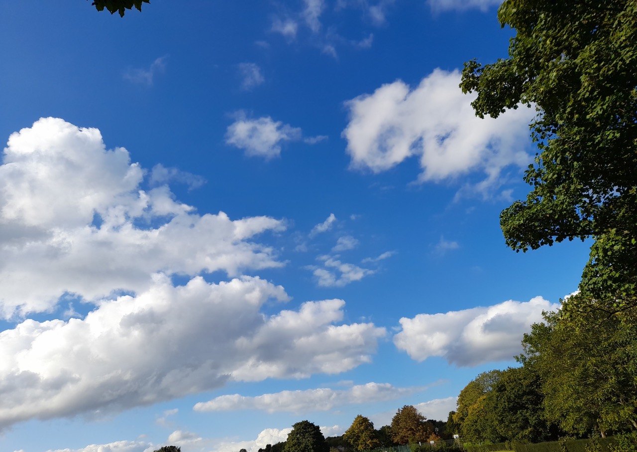 Fwd:			
					</div><!-- .entry-content -->
		
		<footer>
		
		
		
					
					</footer><!-- .entry-meta -->
	</article><!-- #post -->
				
											
				
		
<hr class=