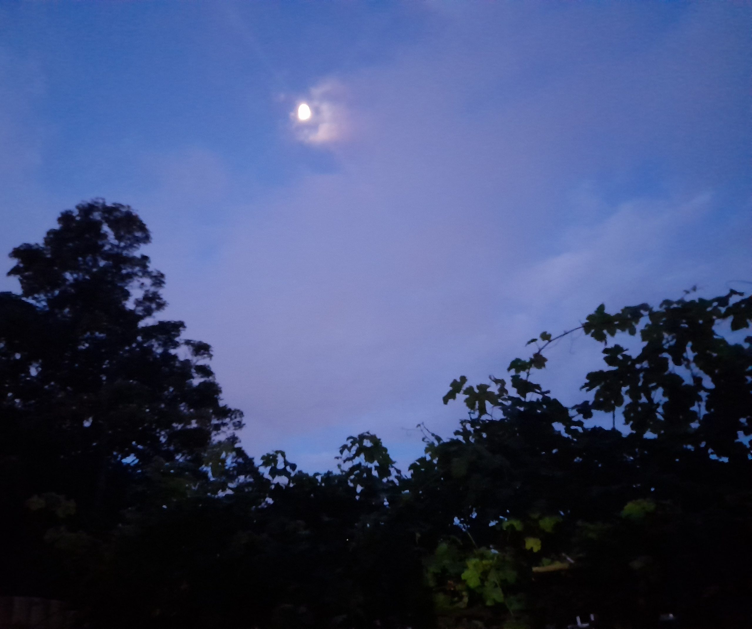 Fwd:			
					</div><!-- .entry-content -->
		
		<footer>
		
		
		
					
					</footer><!-- .entry-meta -->
	</article><!-- #post -->
				
											
				
		
<hr class=