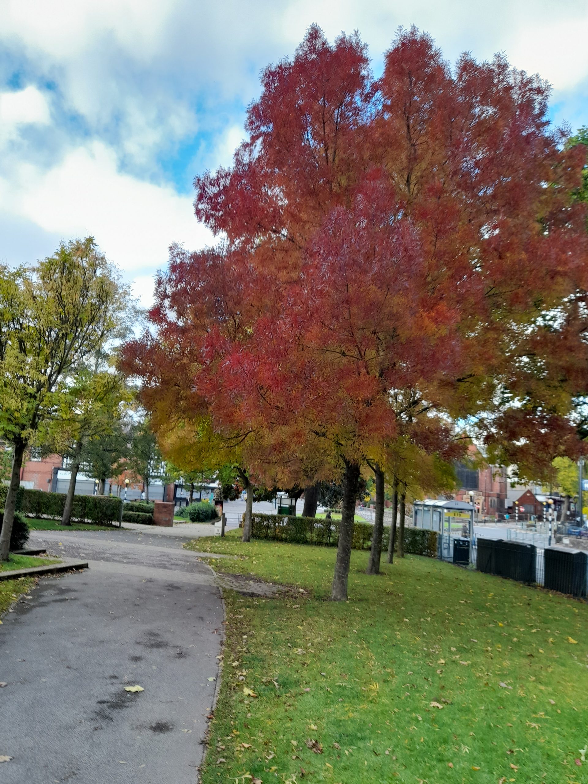 Fwd:			
					</div><!-- .entry-content -->
		
		<footer>
		
		
		
					
					</footer><!-- .entry-meta -->
	</article><!-- #post -->
				
											
				
		
<hr class=