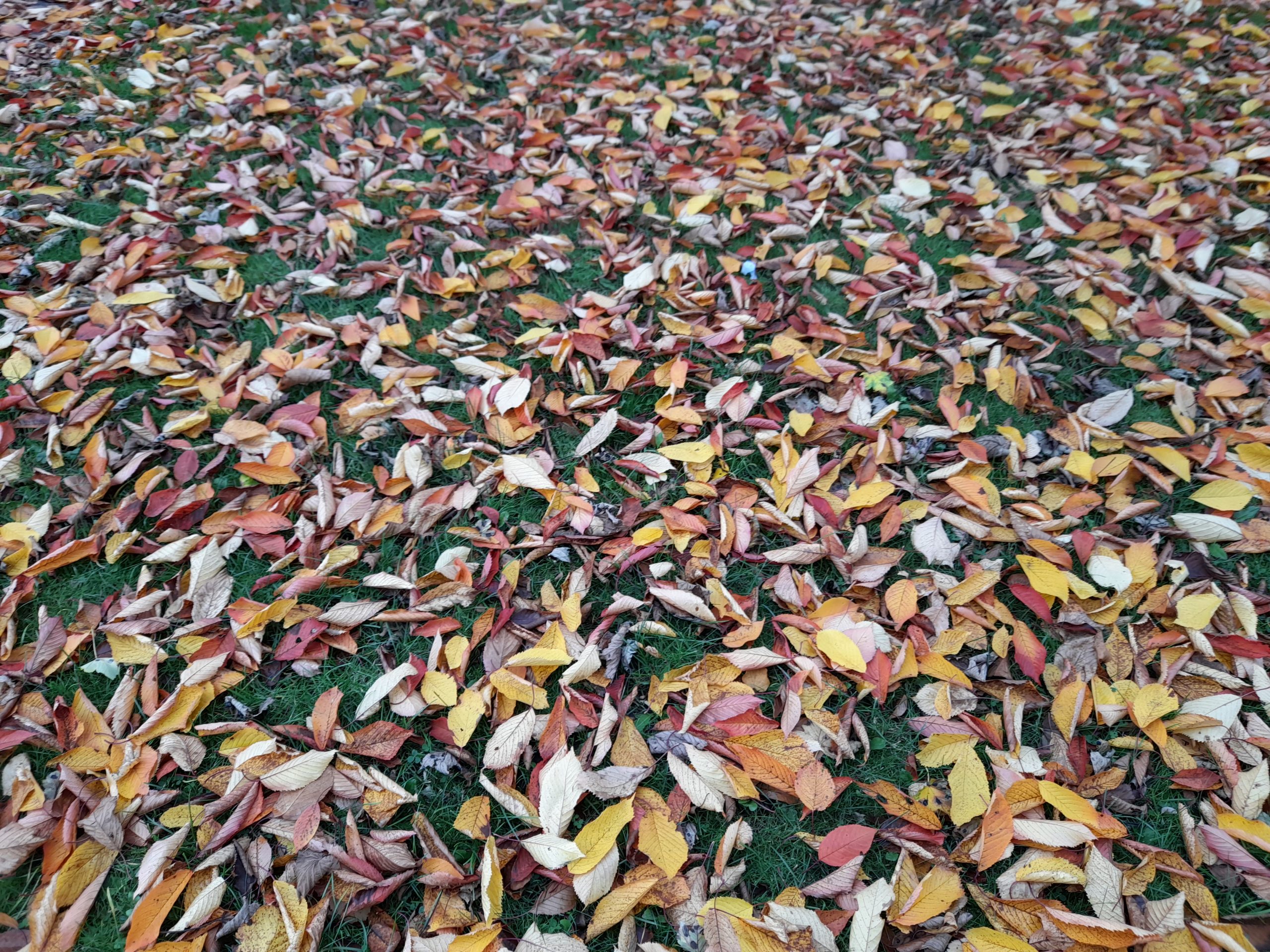 Fwd:			
					</div><!-- .entry-content -->
		
		<footer>
		
		
		
					
					</footer><!-- .entry-meta -->
	</article><!-- #post -->
				
											
				
		
<hr class=