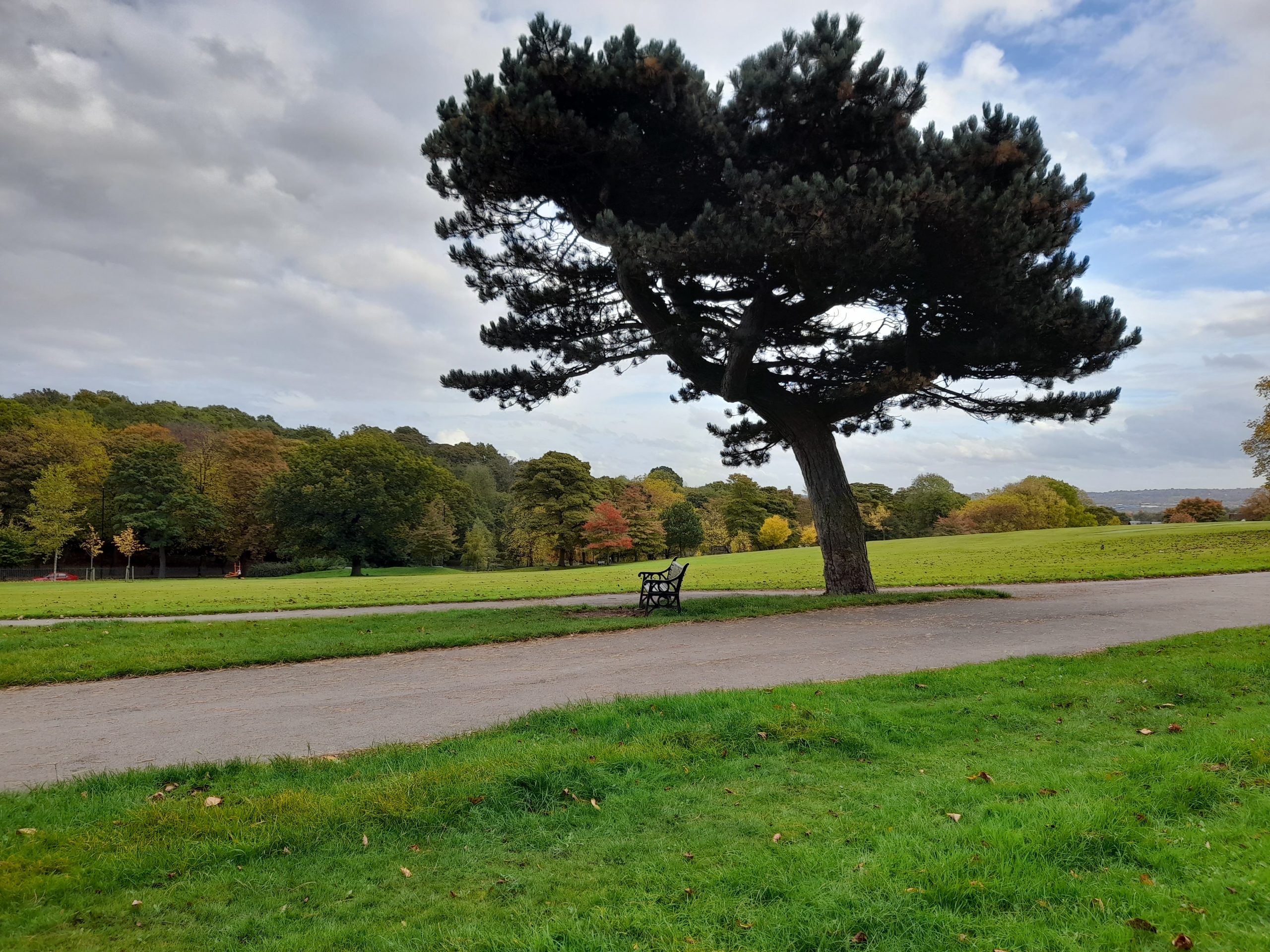 Fwd: Firth Park			
					</div><!-- .entry-content -->
		
		<footer>
		
		
		
					
					</footer><!-- .entry-meta -->
	</article><!-- #post -->
				
											
				
		
<hr class=