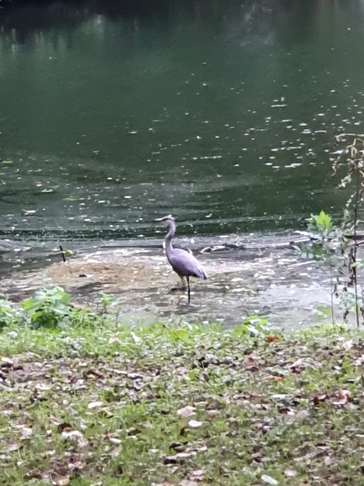 Fwd: Birley spa			
					</div><!-- .entry-content -->
		
		<footer>
		
		
		
					
					</footer><!-- .entry-meta -->
	</article><!-- #post -->
				
											
				
		
<hr class=