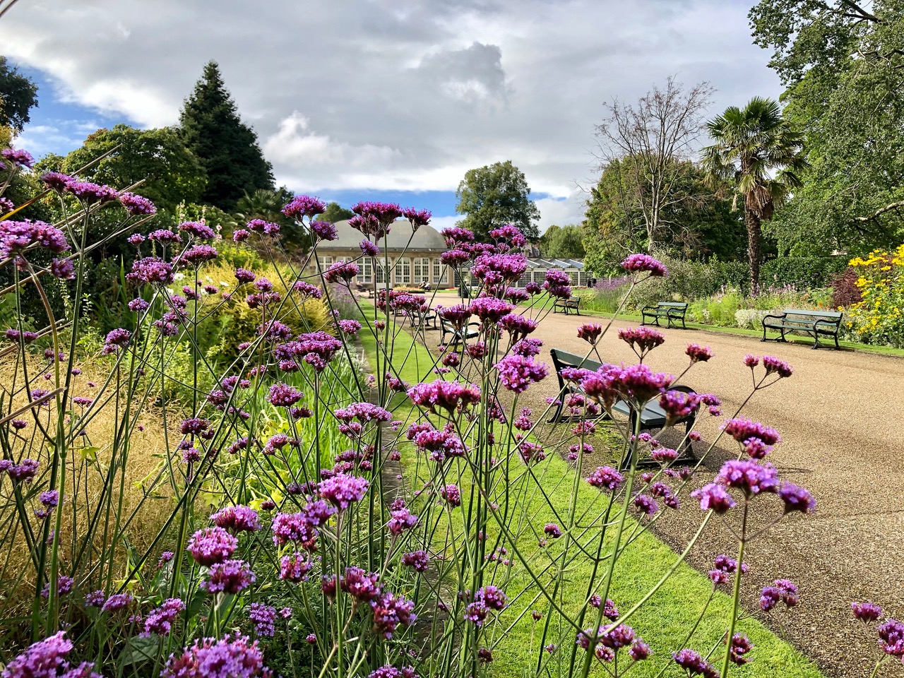 Fwd: Sheffield Botanical Gardens. Keith Bown			
					</div><!-- .entry-content -->
		
		<footer>
		
		
		
					
					</footer><!-- .entry-meta -->
	</article><!-- #post -->
				
											
				
		
<hr class=