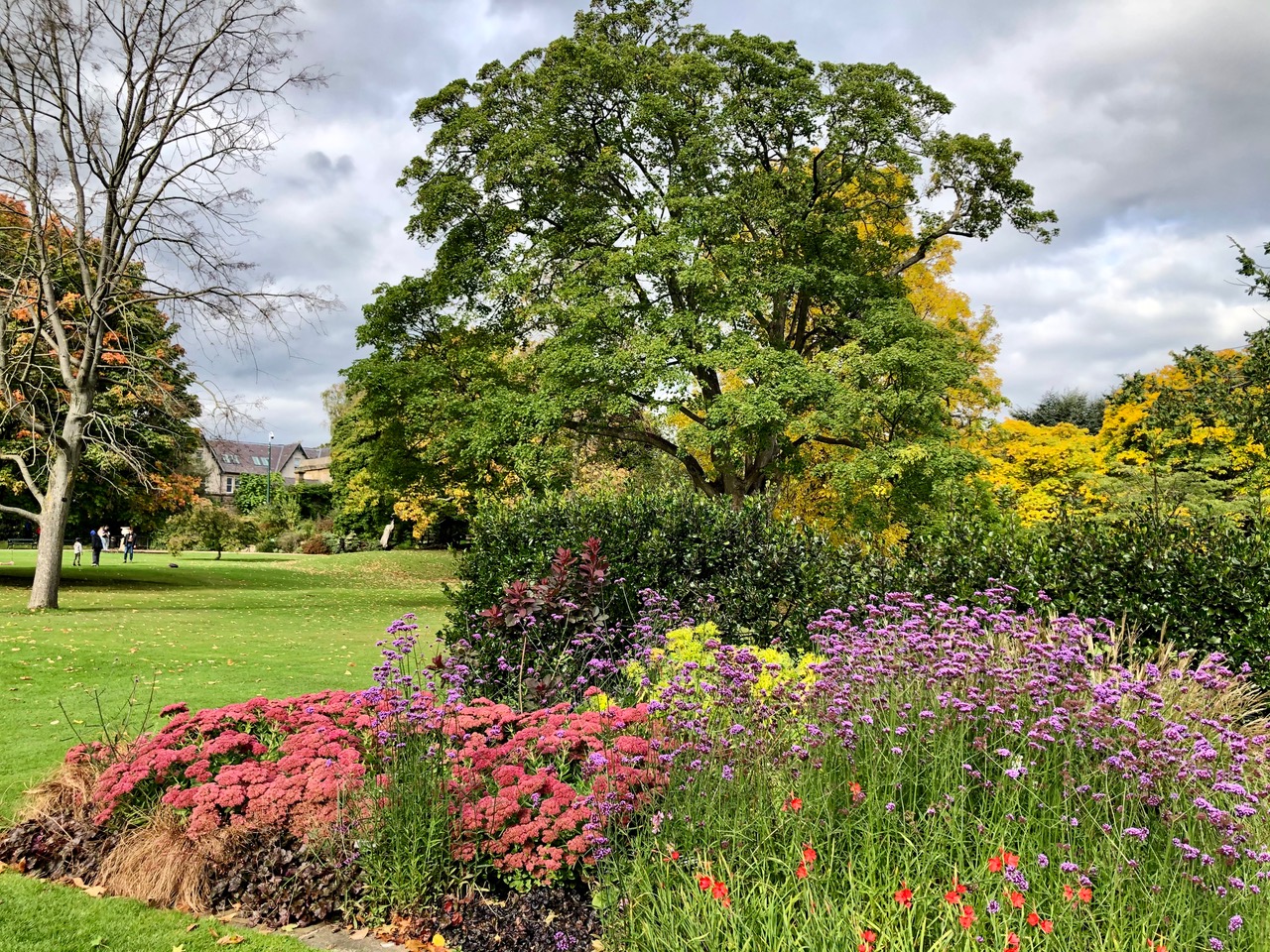 Fwd: Sheffield Botanical Gardens Keith Bown			
					</div><!-- .entry-content -->
		
		<footer>
		
		
		
					
					</footer><!-- .entry-meta -->
	</article><!-- #post -->
				
											
				
		
<hr class=