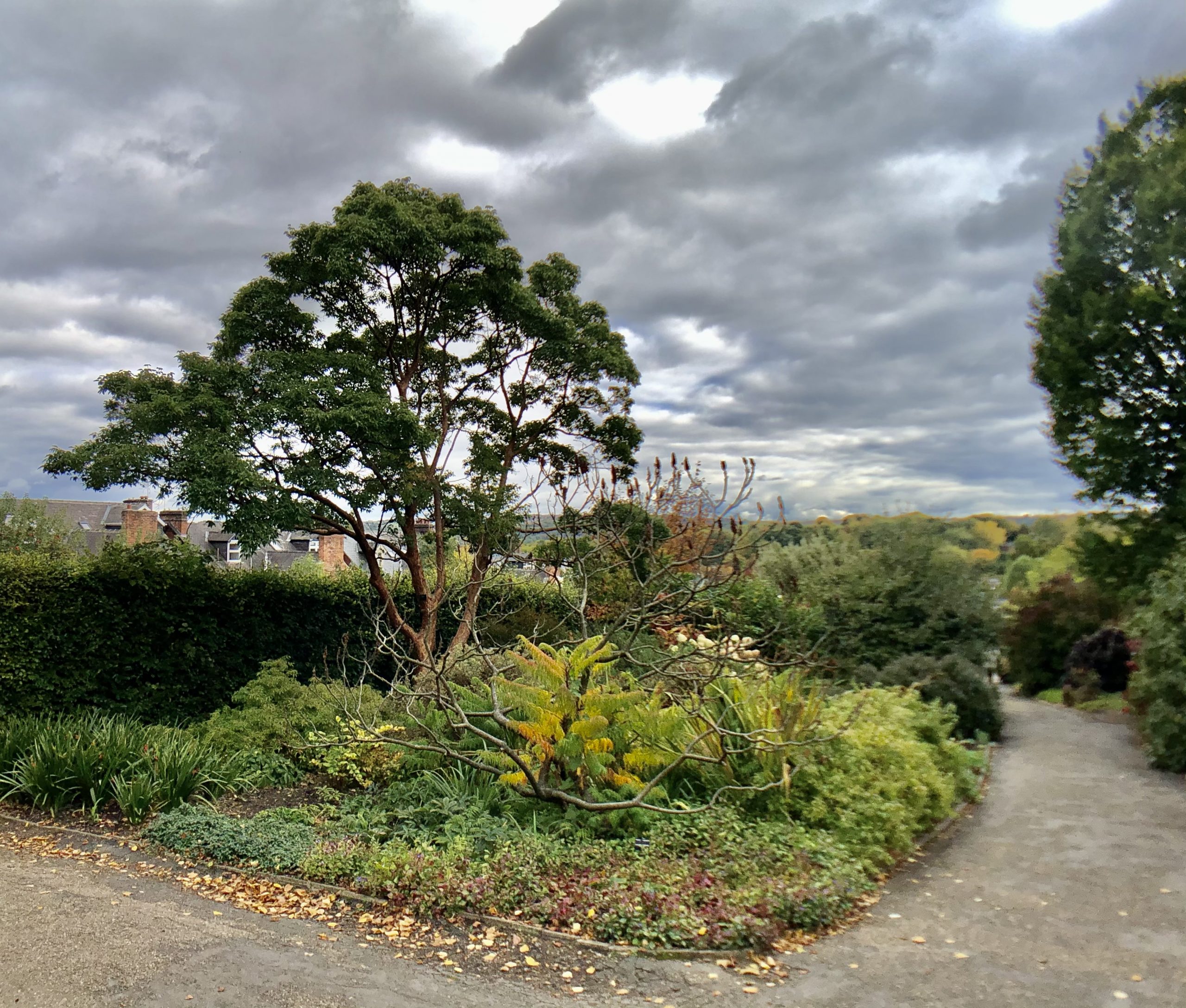 Fwd: Sheffield Botanical Gardens. Keith Bown			
					</div><!-- .entry-content -->
		
		<footer>
		
		
		
					
					</footer><!-- .entry-meta -->
	</article><!-- #post -->
				
											
				
		
<hr class=