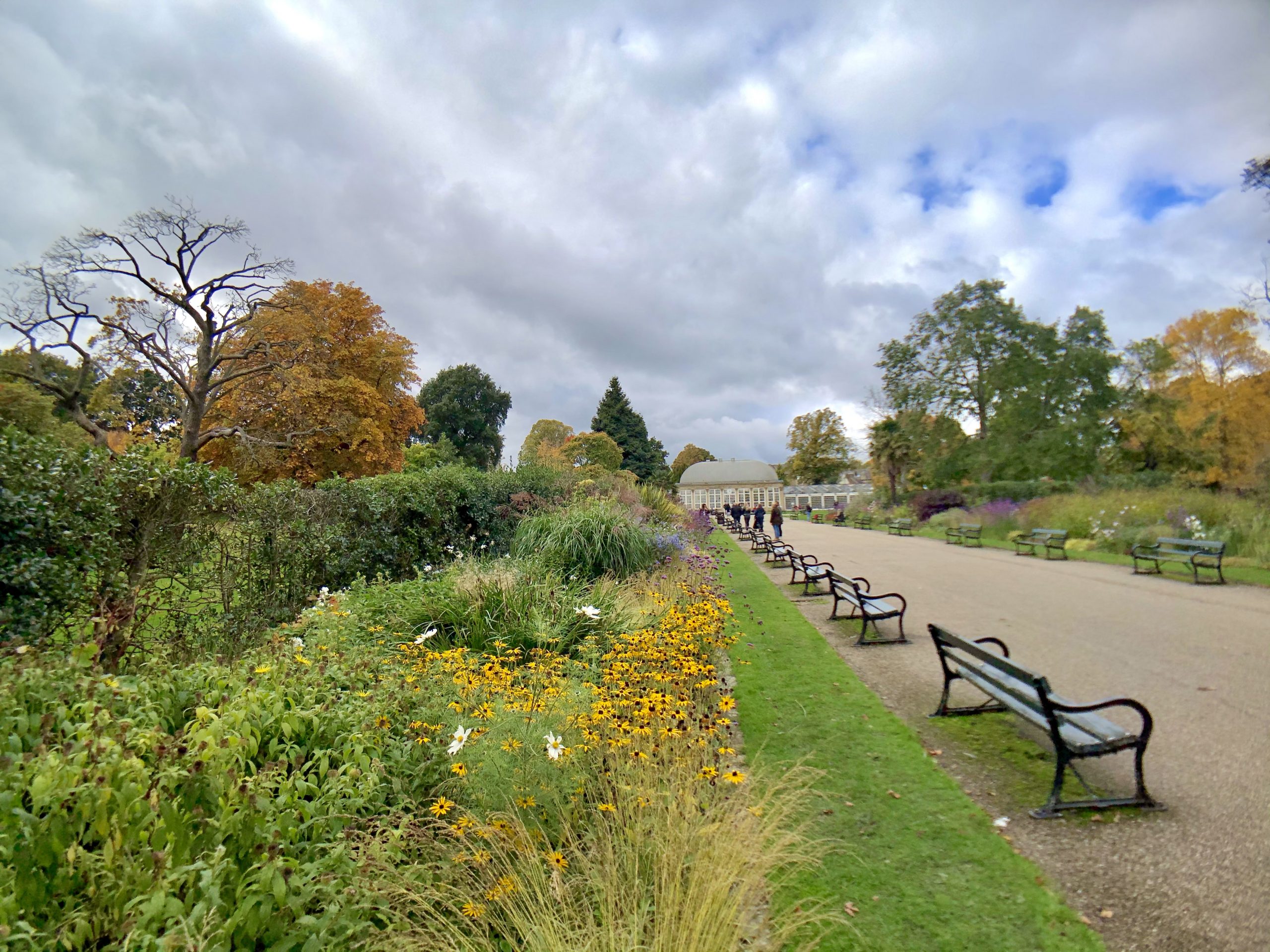 Fwd: Sheffield Botanical Gardens. Keith Bown			
					</div><!-- .entry-content -->
		
		<footer>
		
		
		
					
					</footer><!-- .entry-meta -->
	</article><!-- #post -->
				
											
				
		
<hr class=