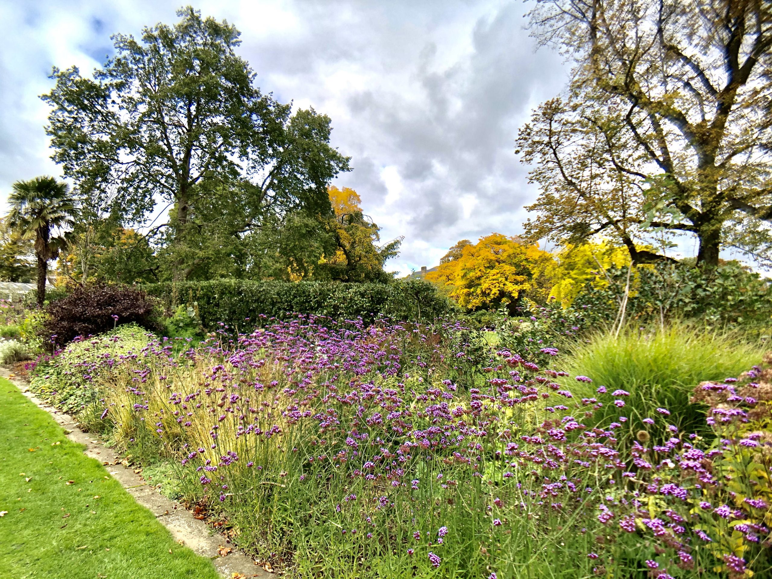 Fwd: Sheffield Botanical Gardens. Keith Bown			
					</div><!-- .entry-content -->
		
		<footer>
		
		
		
					
					</footer><!-- .entry-meta -->
	</article><!-- #post -->
				
											
				
		
<hr class=