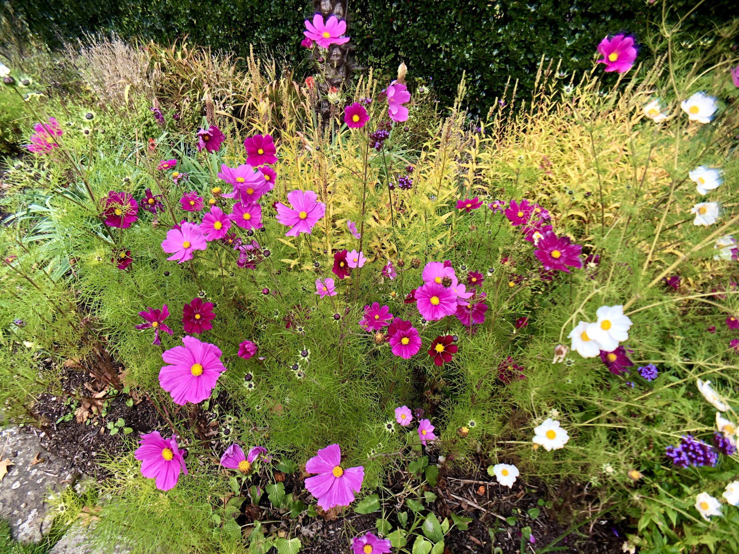 Fwd: Sheffield Botanical Gardens. Keith Bown			
					</div><!-- .entry-content -->
		
		<footer>
		
		
		
					
					</footer><!-- .entry-meta -->
	</article><!-- #post -->
				
											
				
		
<hr class=