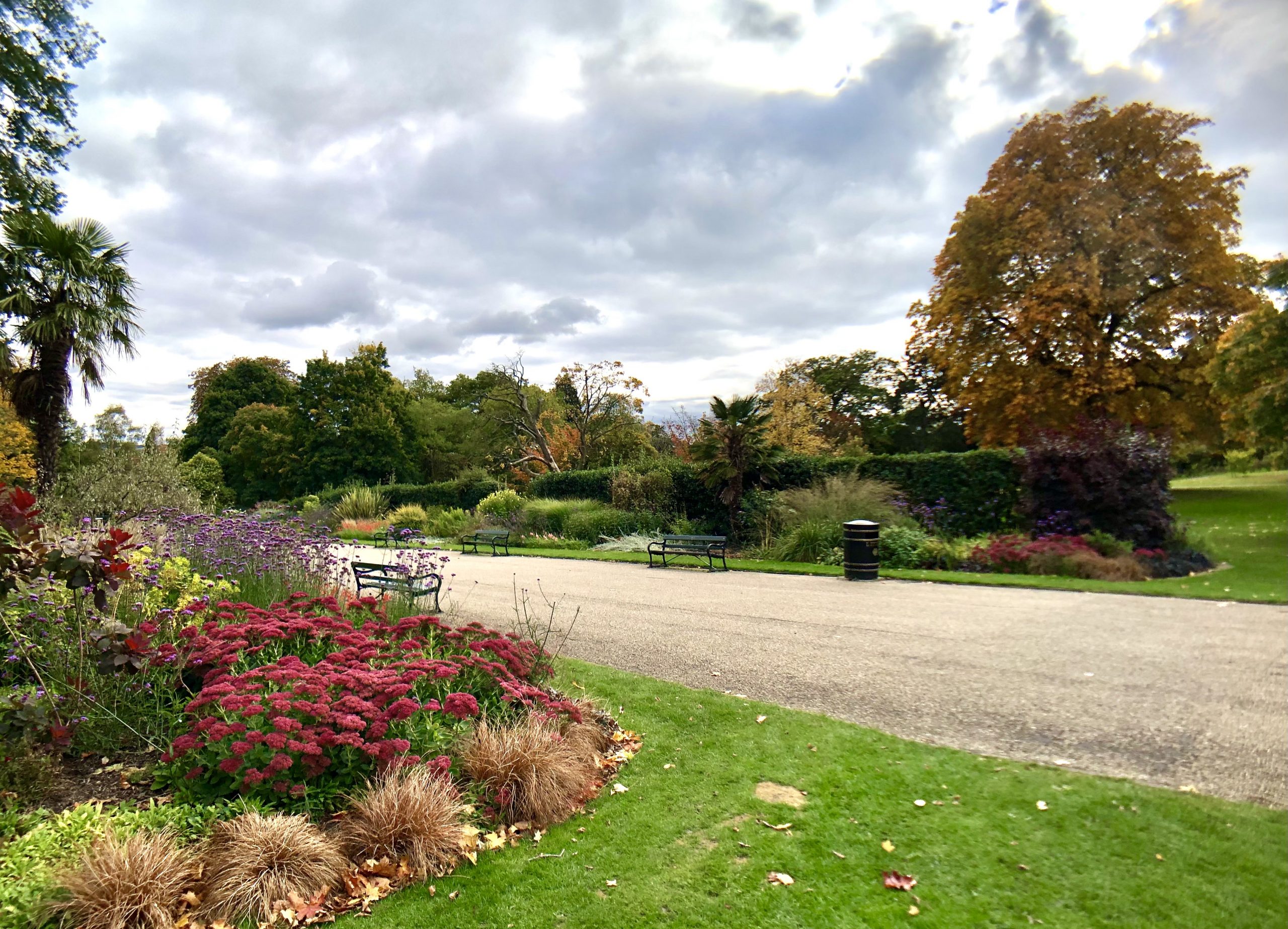 Fwd: Sheffield Botanical Gardens. Keith Bown			
					</div><!-- .entry-content -->
		
		<footer>
		
		
		
					
					</footer><!-- .entry-meta -->
	</article><!-- #post -->
				
											
				
		
<hr class=