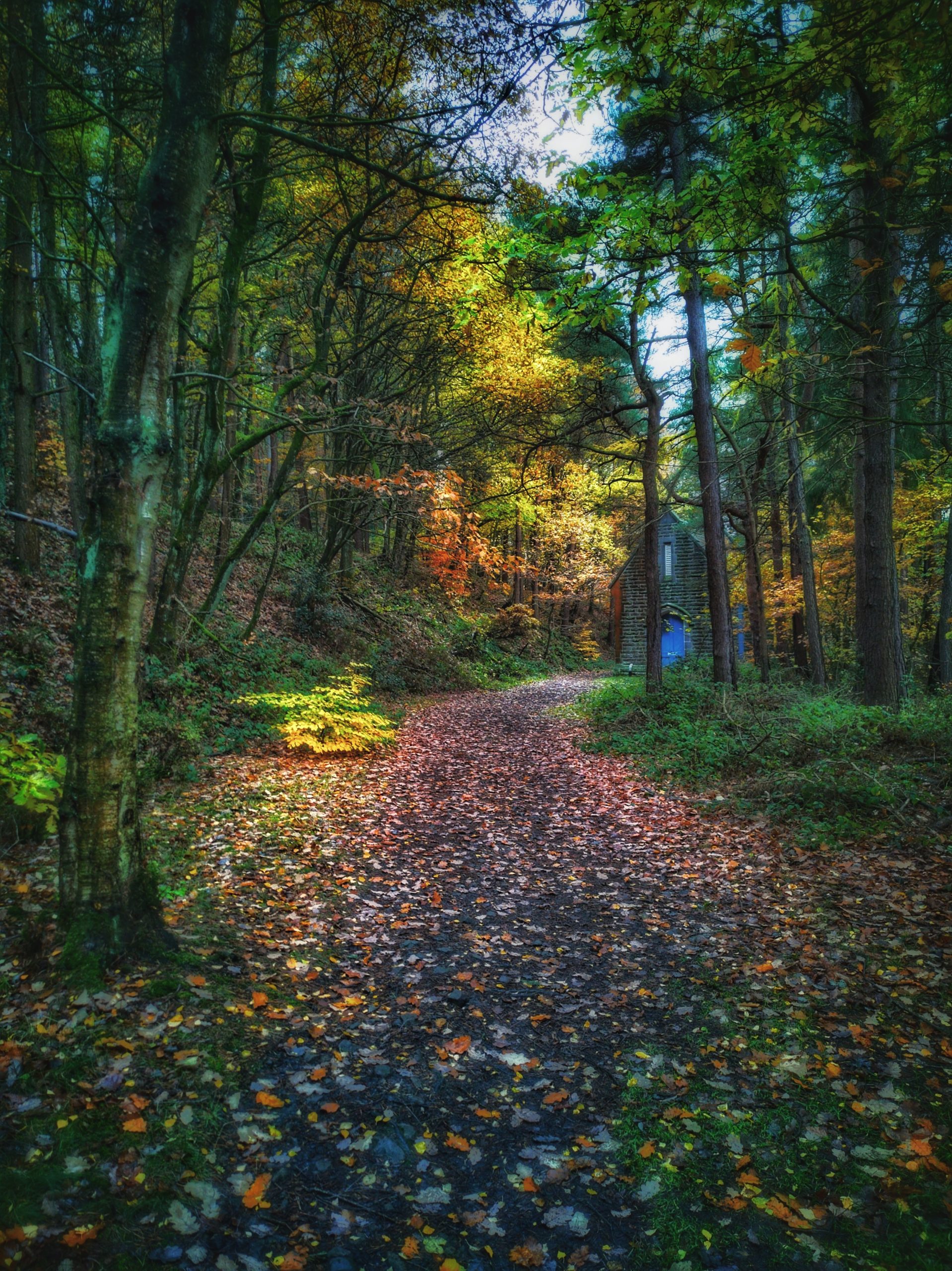 Fwd: Photo			
					</div><!-- .entry-content -->
		
		<footer>
		
		
		
					
					</footer><!-- .entry-meta -->
	</article><!-- #post -->
				
											
				
		
<hr class=