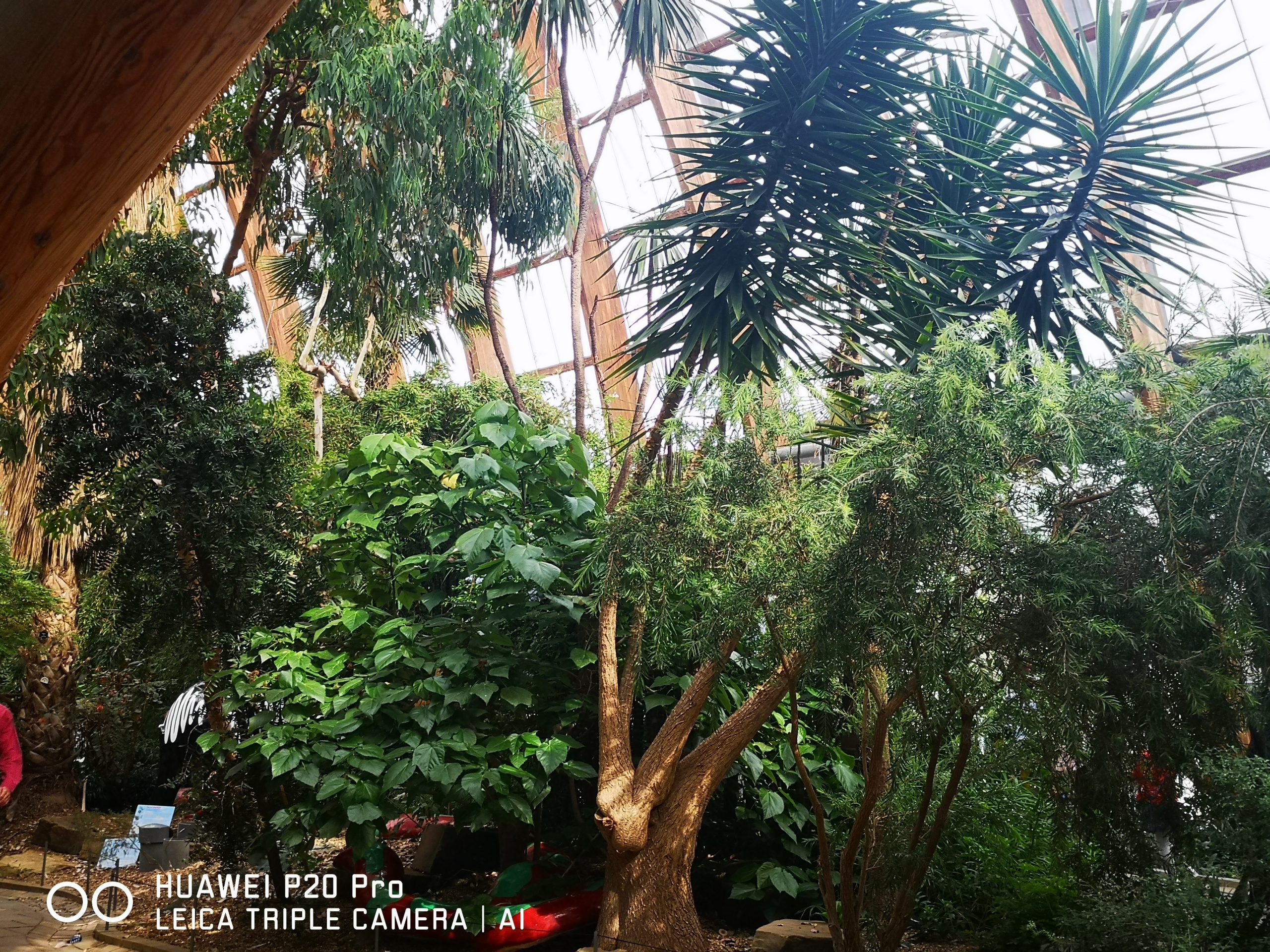 Fwd: Winter Gardens			
					</div><!-- .entry-content -->
		
		<footer>
		
		
		
					
					</footer><!-- .entry-meta -->
	</article><!-- #post -->
				
											
				
		
<hr class=