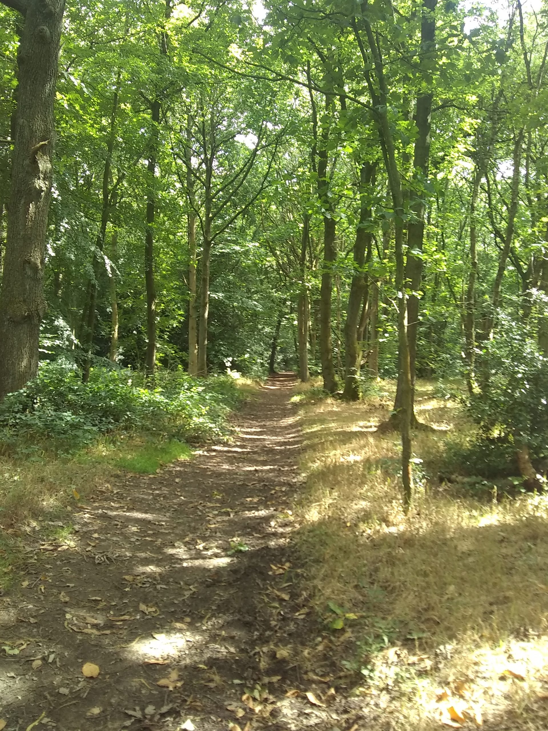 Fwd: Greno woods			
					</div><!-- .entry-content -->
		
		<footer>
		
		
		
					
					</footer><!-- .entry-meta -->
	</article><!-- #post -->
				
											
				
		
<hr class=