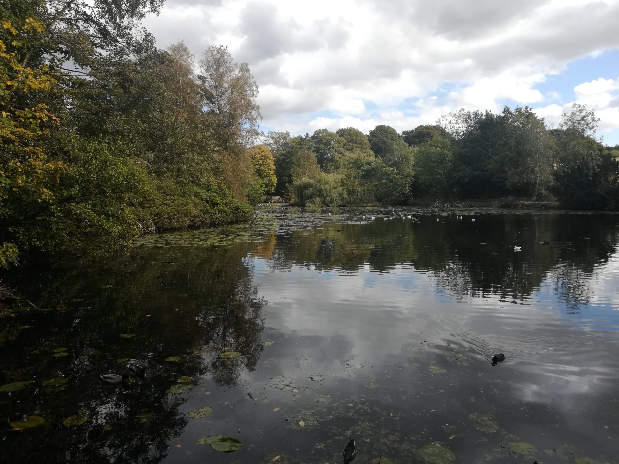 Fwd: Sheffield Live Photo			
					</div><!-- .entry-content -->
		
		<footer>
		
		
		
					
					</footer><!-- .entry-meta -->
	</article><!-- #post -->
				
											
				
		
<hr class=