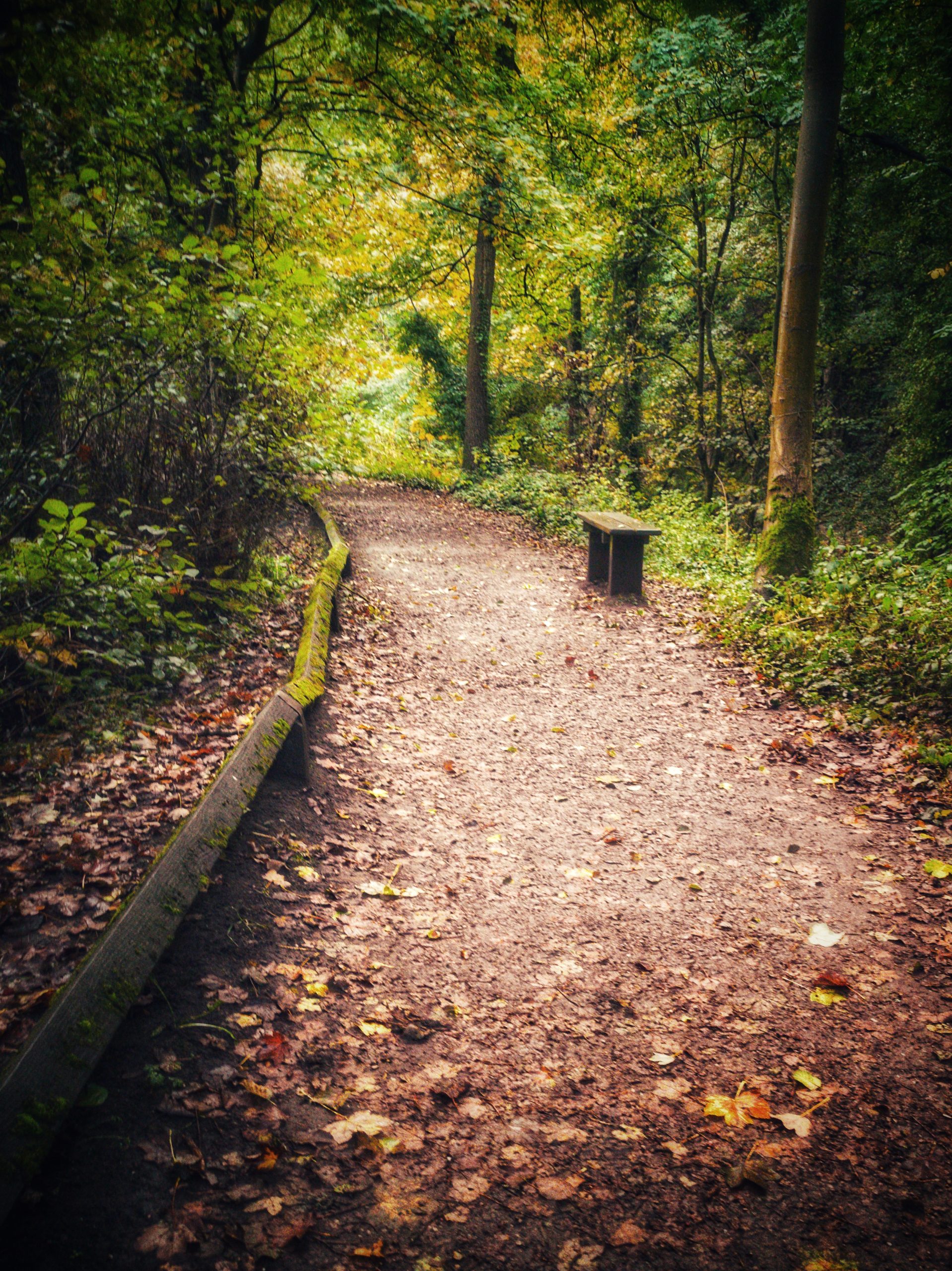 Fwd: Photos			
					</div><!-- .entry-content -->
		
		<footer>
		
		
		
					
					</footer><!-- .entry-meta -->
	</article><!-- #post -->
				
											
				
		
<hr class=