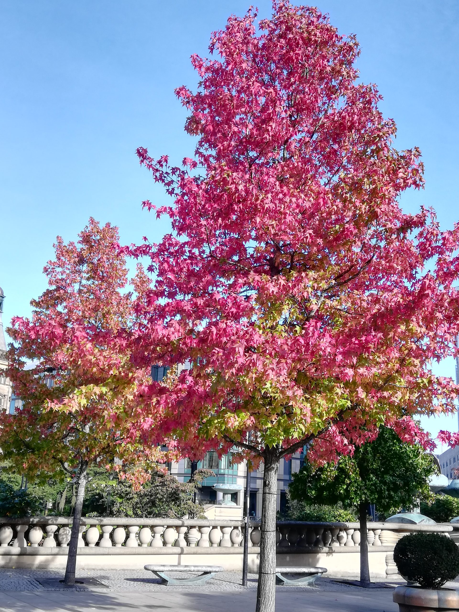 Fwd: Photo of Autumn in the Peace Gardens			
					</div><!-- .entry-content -->
		
		<footer>
		
		
		
					
					</footer><!-- .entry-meta -->
	</article><!-- #post -->
				
											
				
		
<hr class=