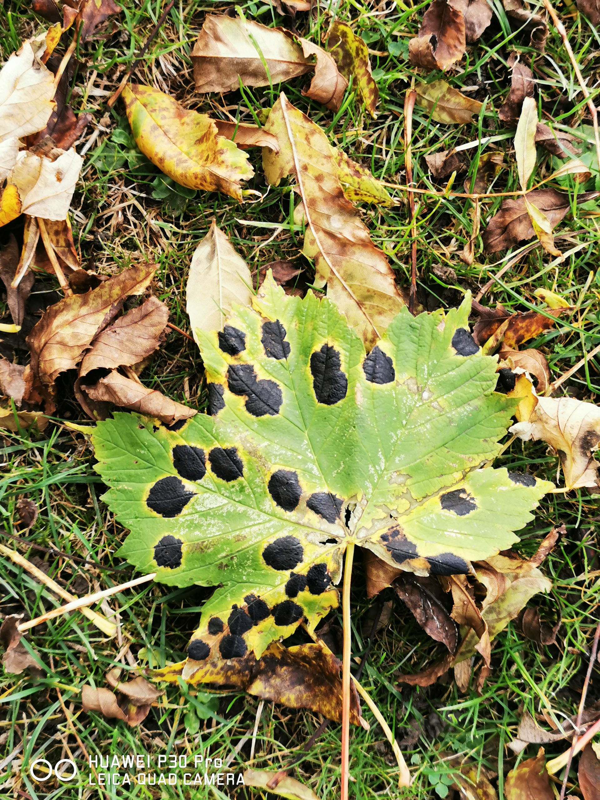 Fwd: By Craig Thomson			
					</div><!-- .entry-content -->
		
		<footer>
		
		
		
					
					</footer><!-- .entry-meta -->
	</article><!-- #post -->
				
											
				
		
<hr class=