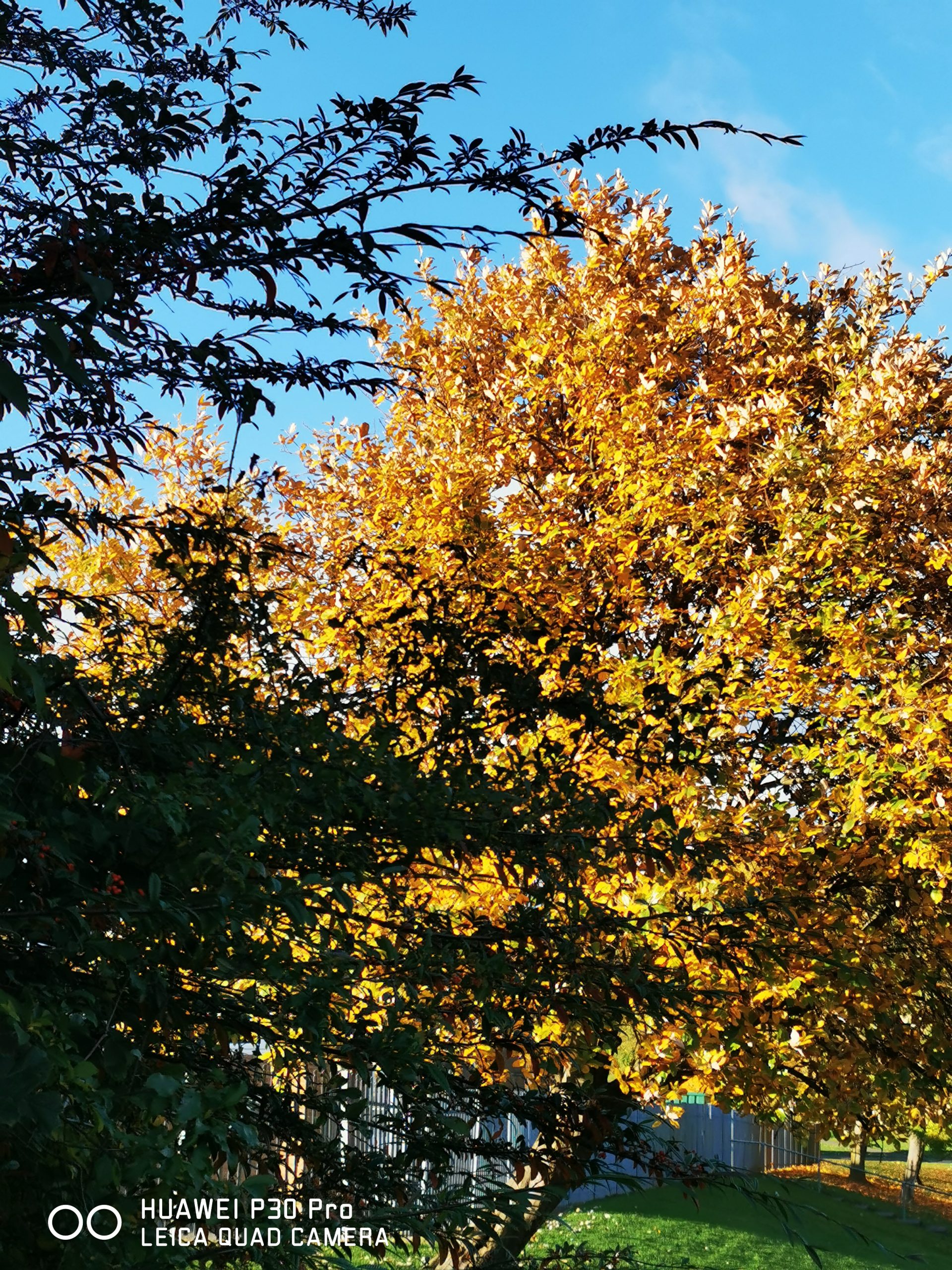 Fwd: Autumn			
					</div><!-- .entry-content -->
		
		<footer>
		
		
		
					
					</footer><!-- .entry-meta -->
	</article><!-- #post -->
				
											
				
		
<hr class=