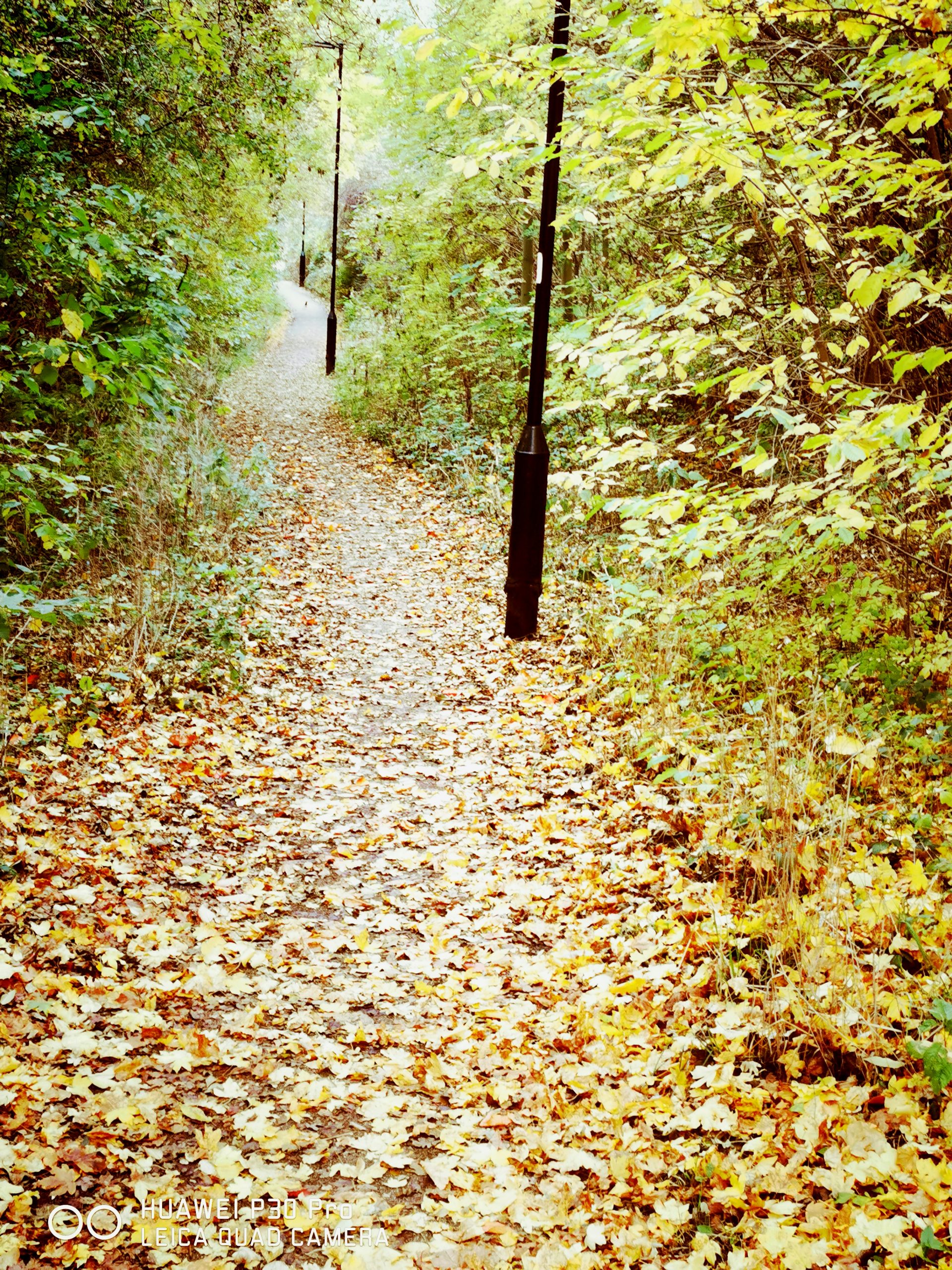 Fwd: Autumn			
					</div><!-- .entry-content -->
		
		<footer>
		
		
		
					
					</footer><!-- .entry-meta -->
	</article><!-- #post -->
				
											
				
		
<hr class=