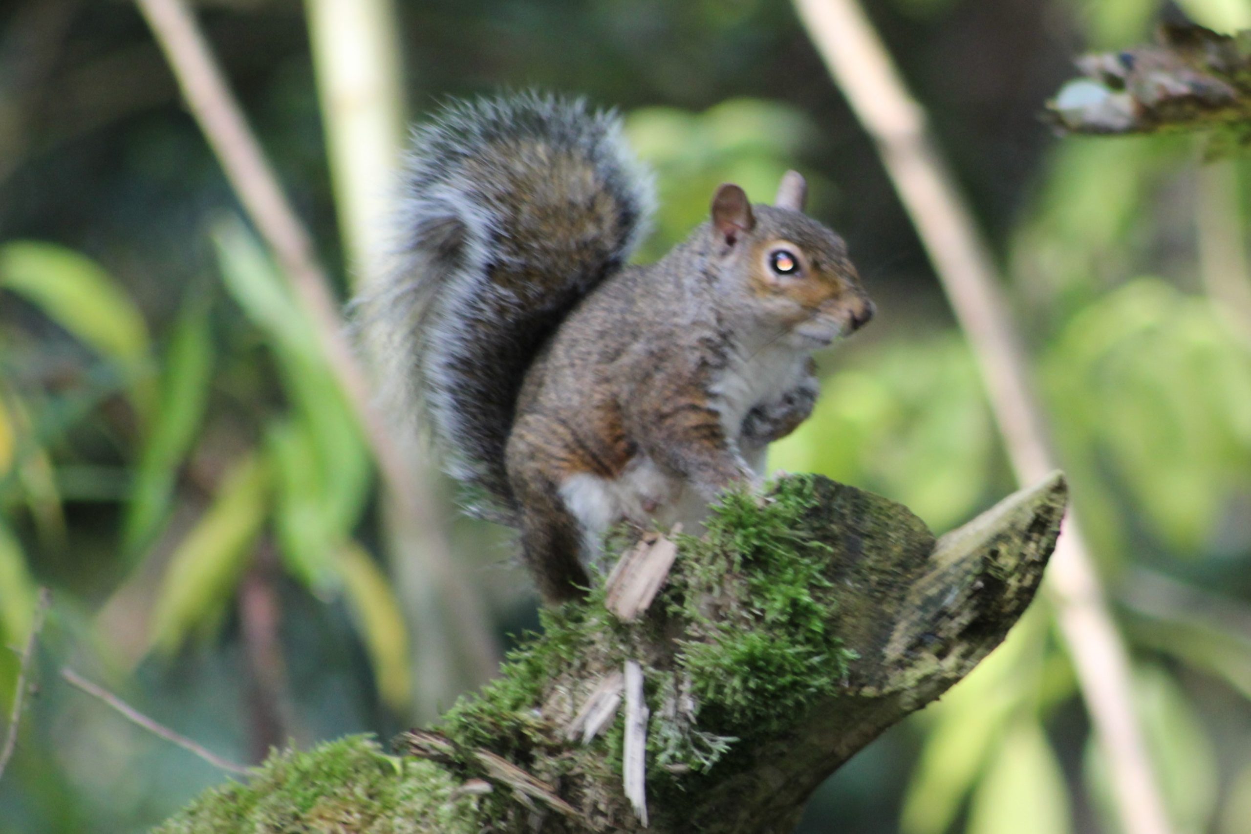 Fwd:			
					</div><!-- .entry-content -->
		
		<footer>
		
		
		
					
					</footer><!-- .entry-meta -->
	</article><!-- #post -->
				
											
				
		
<hr class=