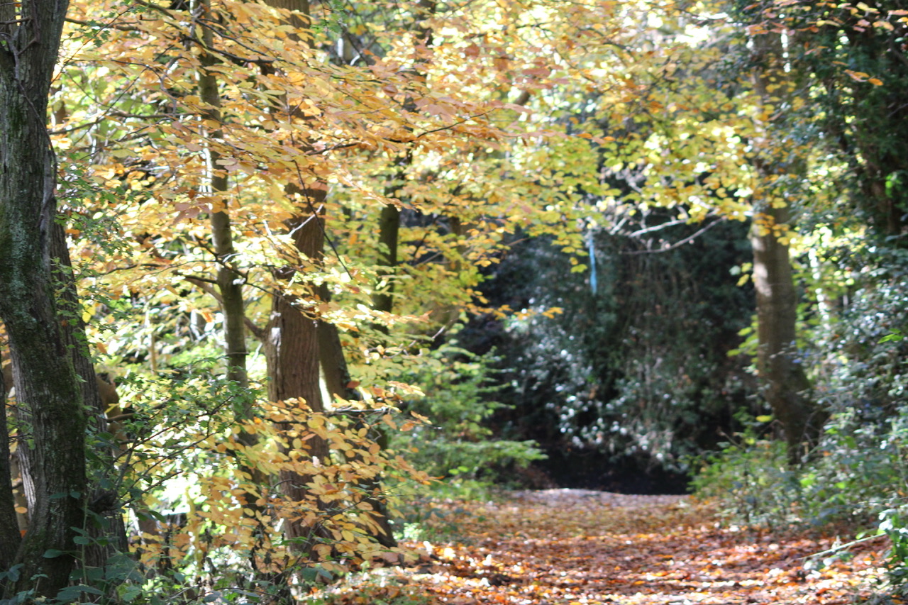 Fwd: Paul Snelling from Rivelin.			
					</div><!-- .entry-content -->
		
		<footer>
		
		
		
					
					</footer><!-- .entry-meta -->
	</article><!-- #post -->
				
											
				
		
<hr class=