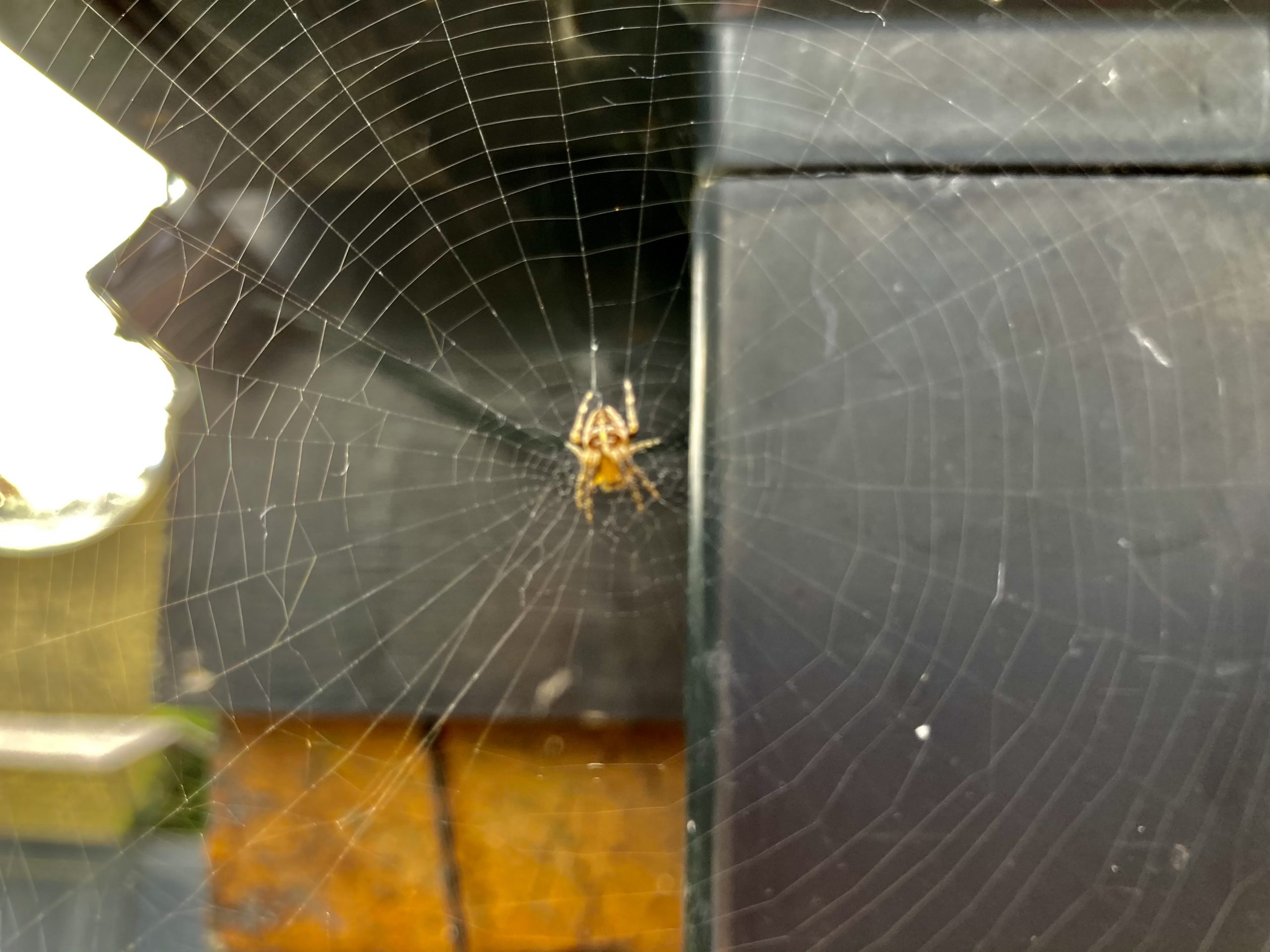 Fwd: Photograph submission for TV			
					</div><!-- .entry-content -->
		
		<footer>
		
		
		
					
					</footer><!-- .entry-meta -->
	</article><!-- #post -->
				
											
				
		
<hr class=