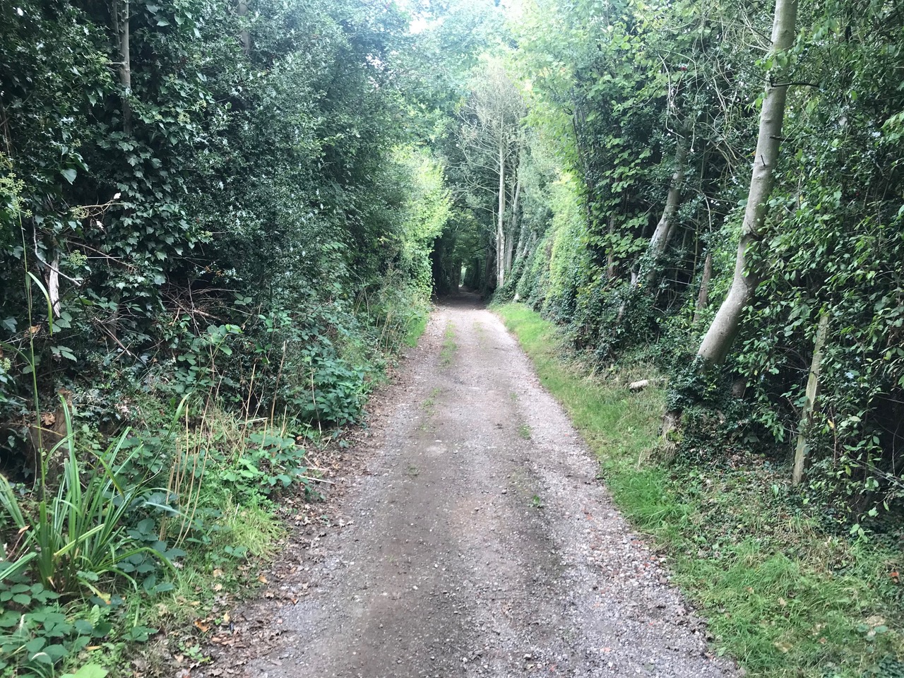 Fwd: Path from Troway.			
					</div><!-- .entry-content -->
		
		<footer>
		
		
		
					
					</footer><!-- .entry-meta -->
	</article><!-- #post -->
				
											
				
		
<hr class=