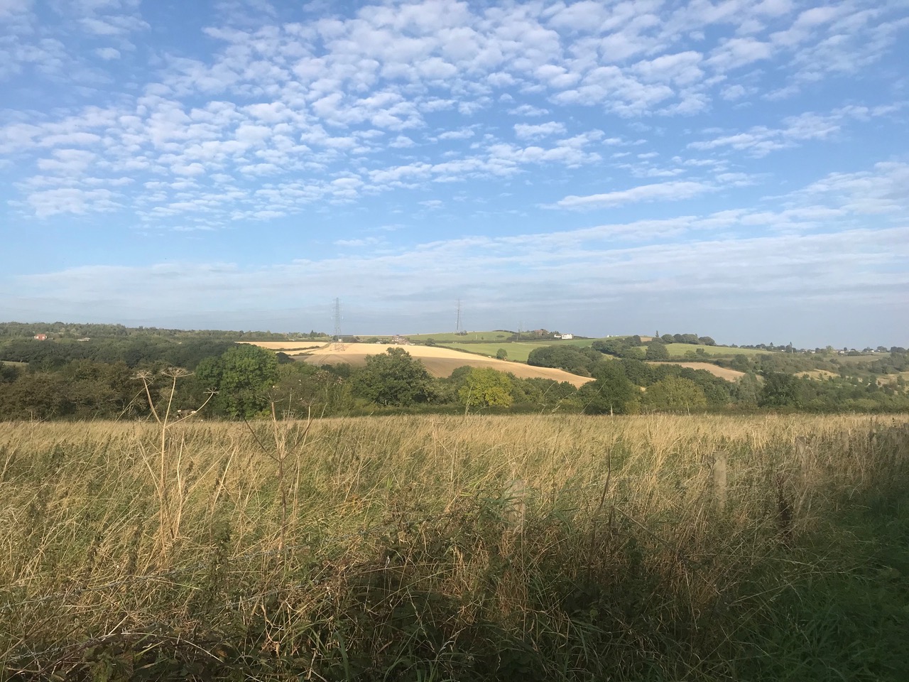 Fwd: Moss Valley			
					</div><!-- .entry-content -->
		
		<footer>
		
		
		
					
					</footer><!-- .entry-meta -->
	</article><!-- #post -->
				
											
				
		
<hr class=