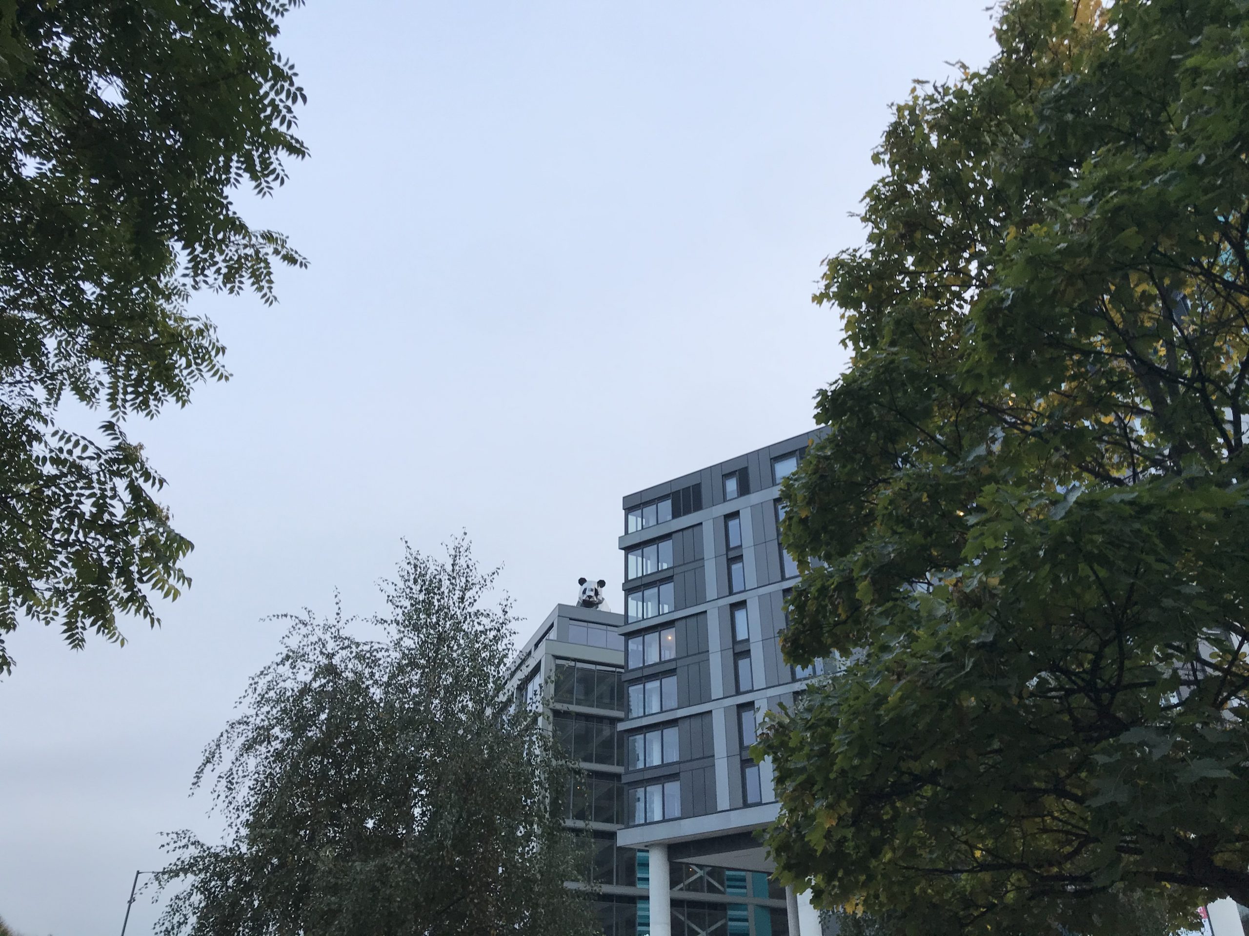 Fwd: Bramall lane new edition			
					</div><!-- .entry-content -->
		
		<footer>
		
		
		
					
					</footer><!-- .entry-meta -->
	</article><!-- #post -->
				
											
				
		
<hr class=