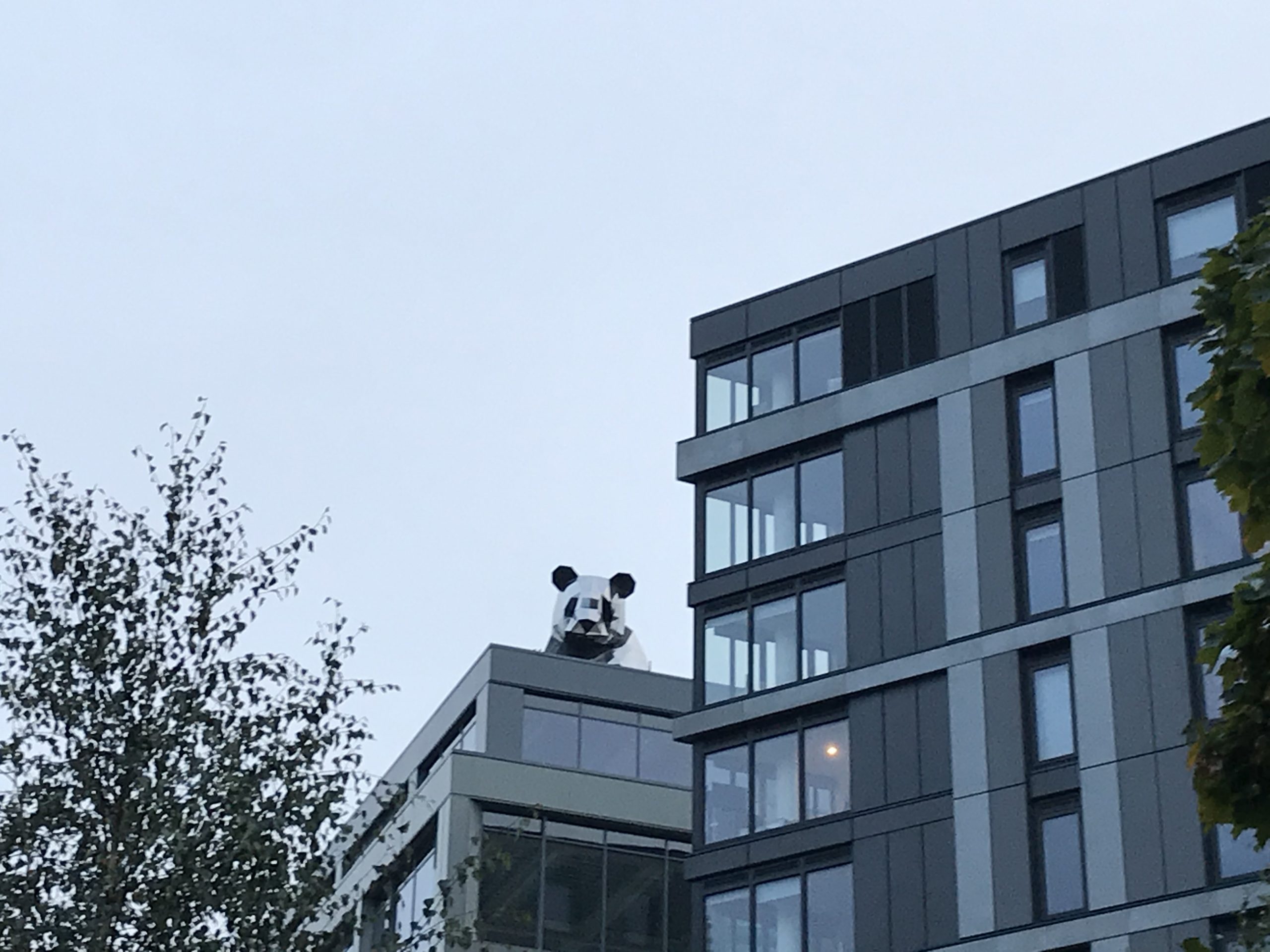 Fwd: Panda on bramall lane			
					</div><!-- .entry-content -->
		
		<footer>
		
		
		
					
					</footer><!-- .entry-meta -->
	</article><!-- #post -->
				
											
				
		
<hr class=