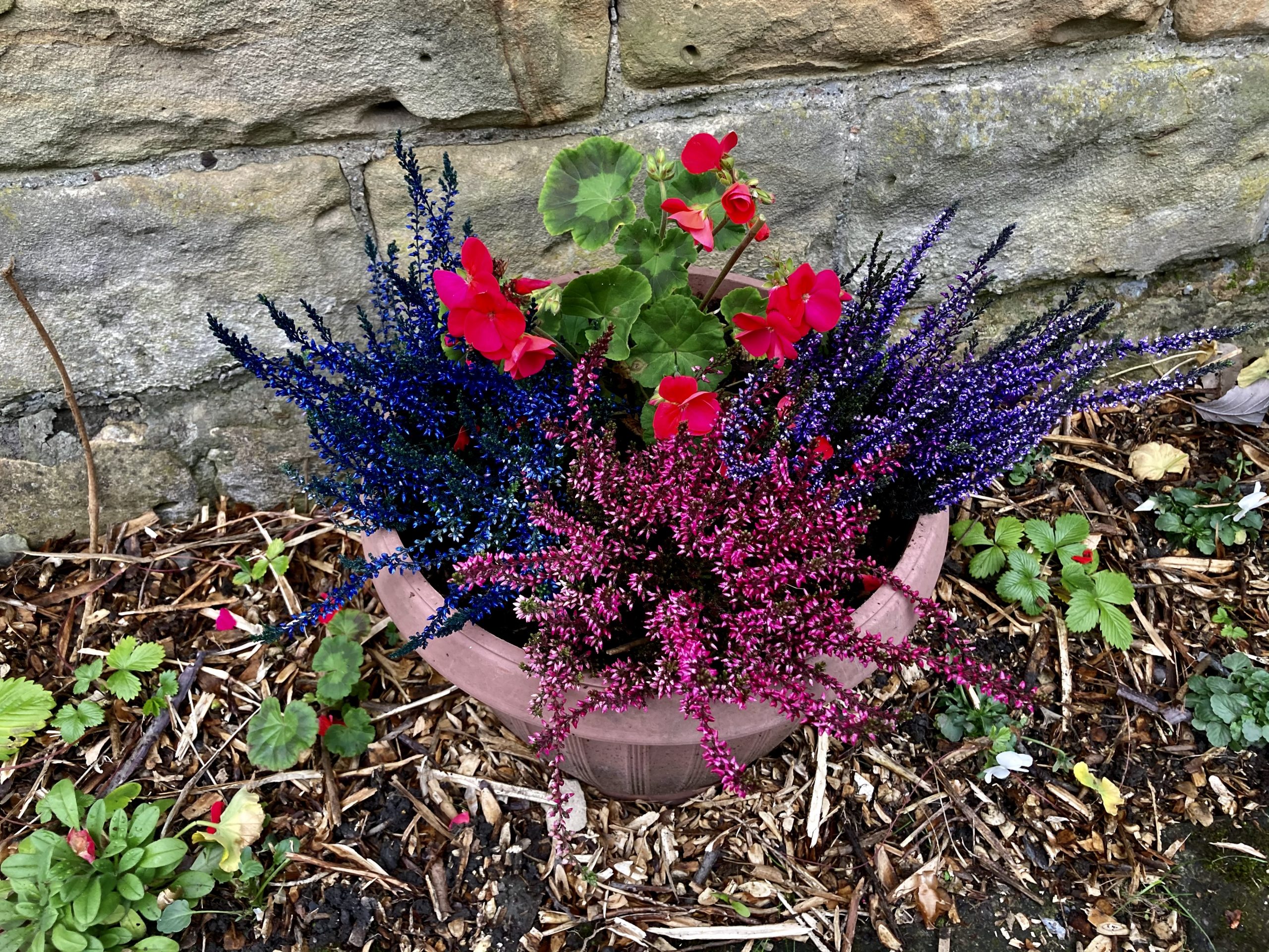 Fwd: Photograph submission for TV			
					</div><!-- .entry-content -->
		
		<footer>
		
		
		
					
					</footer><!-- .entry-meta -->
	</article><!-- #post -->
				
											
				
		
<hr class=