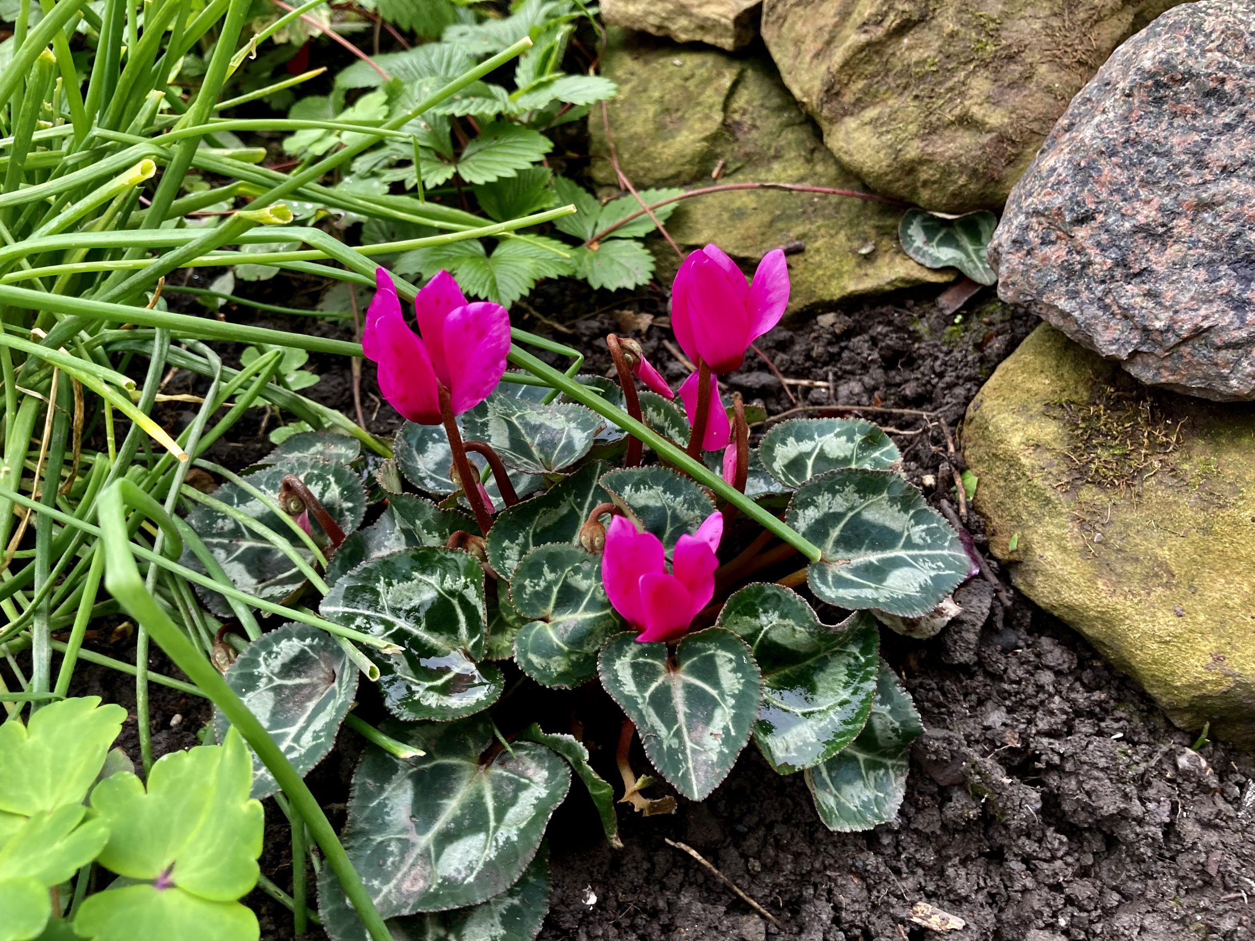 Fwd: Photograph submission for TV			
					</div><!-- .entry-content -->
		
		<footer>
		
		
		
					
					</footer><!-- .entry-meta -->
	</article><!-- #post -->
				
											
				
		
<hr class=