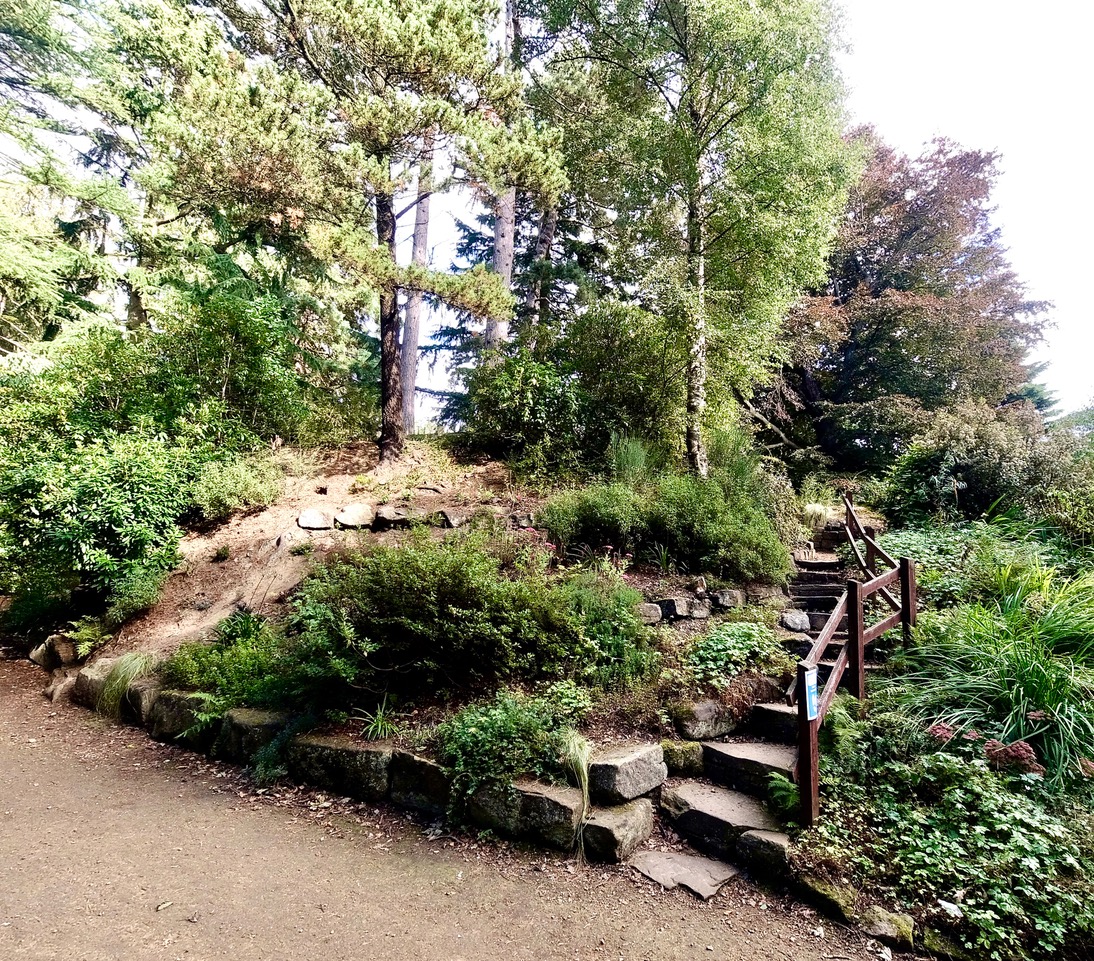 Fwd: Whinfell Quarry Gardens Sheffield.Keith Bown			
					</div><!-- .entry-content -->
		
		<footer>
		
		
		
					
					</footer><!-- .entry-meta -->
	</article><!-- #post -->
				
											
				
		
<hr class=