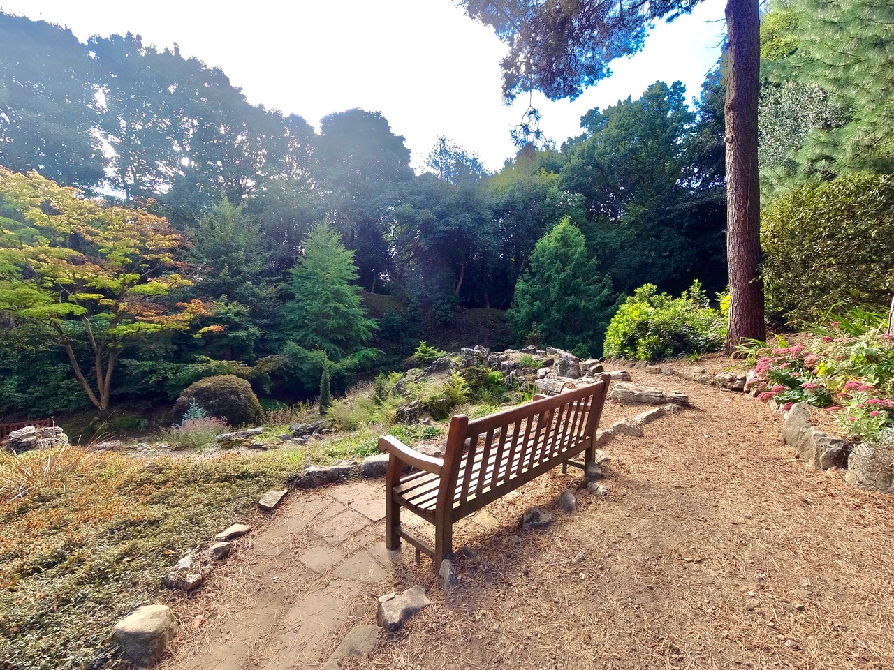 Fwd: Whinfell Quarry Gardens Sheffield. Keith Bown			
					</div><!-- .entry-content -->
		
		<footer>
		
		
		
					
					</footer><!-- .entry-meta -->
	</article><!-- #post -->
				
											
				
		
<hr class=