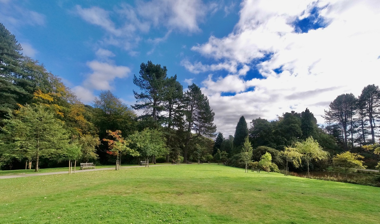 Fwd: Whirlow Brook Park Sheffield. Keith Bown			
					</div><!-- .entry-content -->
		
		<footer>
		
		
		
					
					</footer><!-- .entry-meta -->
	</article><!-- #post -->
				
											
				
		
<hr class=