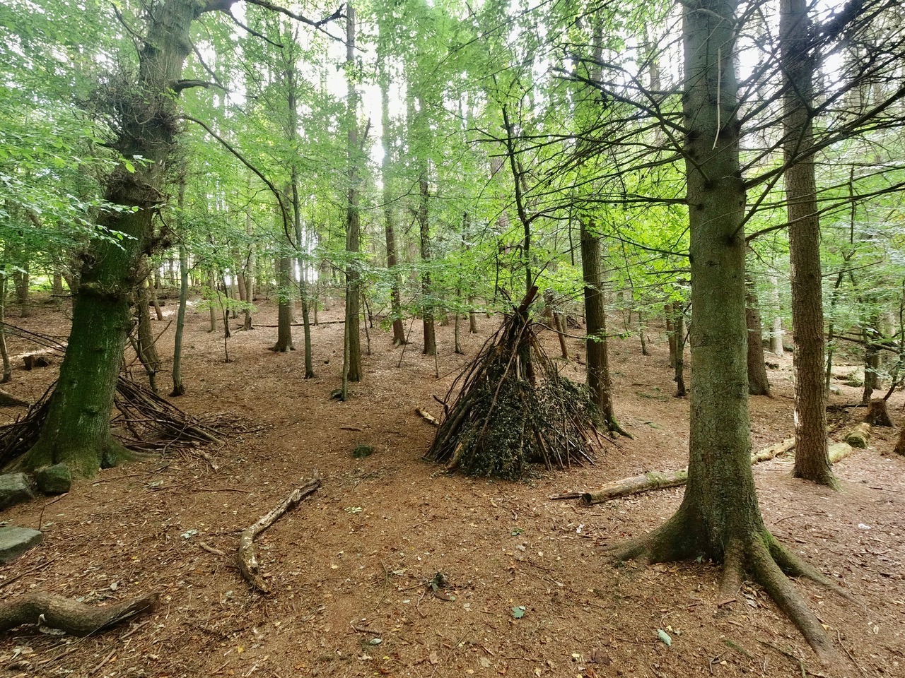 Fwd: Whirlow Brook Park Sheffield. Keith Bown			
					</div><!-- .entry-content -->
		
		<footer>
		
		
		
					
					</footer><!-- .entry-meta -->
	</article><!-- #post -->
				
											
				
		
<hr class=
