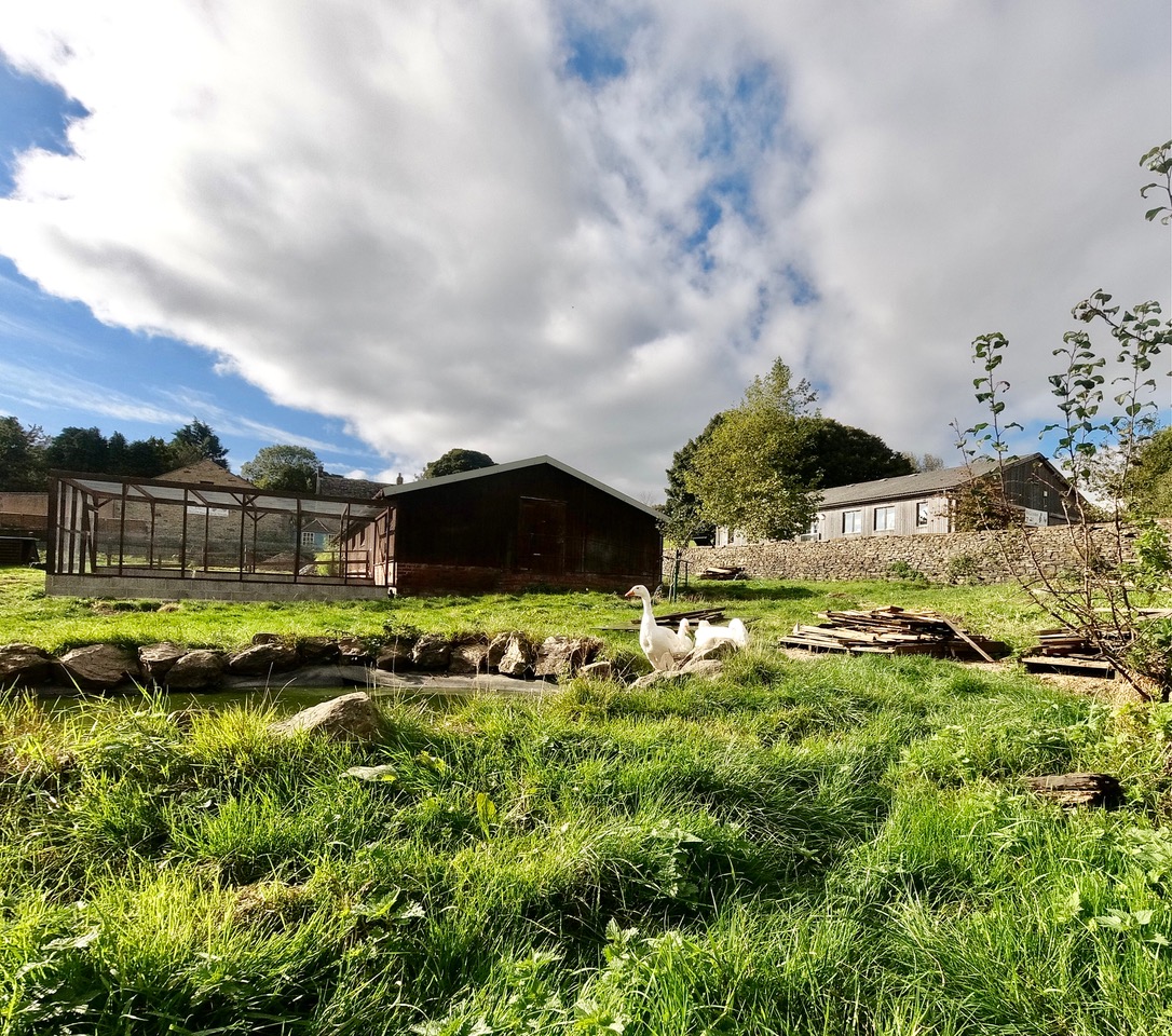 Fwd: Whirlow Hall Farm Sheffield. Keith Bown			
					</div><!-- .entry-content -->
		
		<footer>
		
		
		
					
					</footer><!-- .entry-meta -->
	</article><!-- #post -->
				
											
				
		
<hr class=