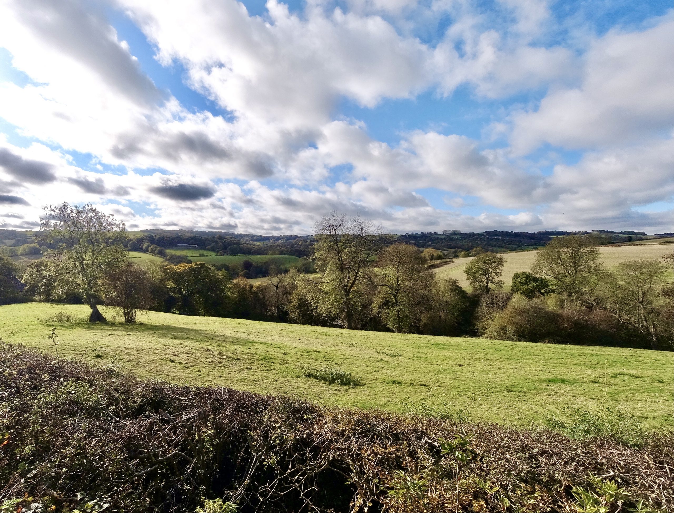 Fwd: Mosborough Sheffield. Keith Bown			
					</div><!-- .entry-content -->
		
		<footer>
		
		
		
					
					</footer><!-- .entry-meta -->
	</article><!-- #post -->
				
											
				
		
<hr class=