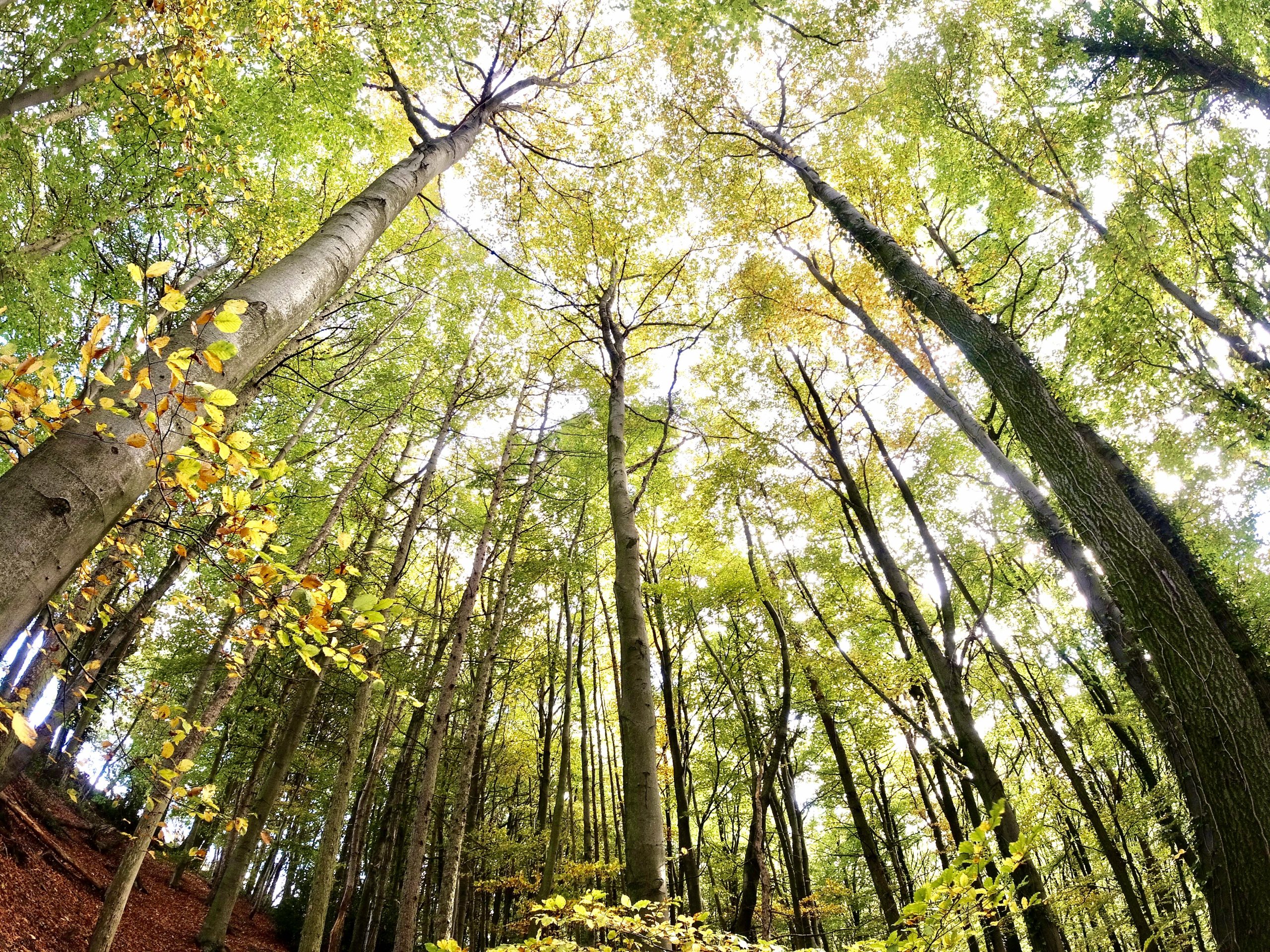 Fwd: Mosborough Sheffield. Keith Bown			
					</div><!-- .entry-content -->
		
		<footer>
		
		
		
					
					</footer><!-- .entry-meta -->
	</article><!-- #post -->
				
											
				
		
<hr class=