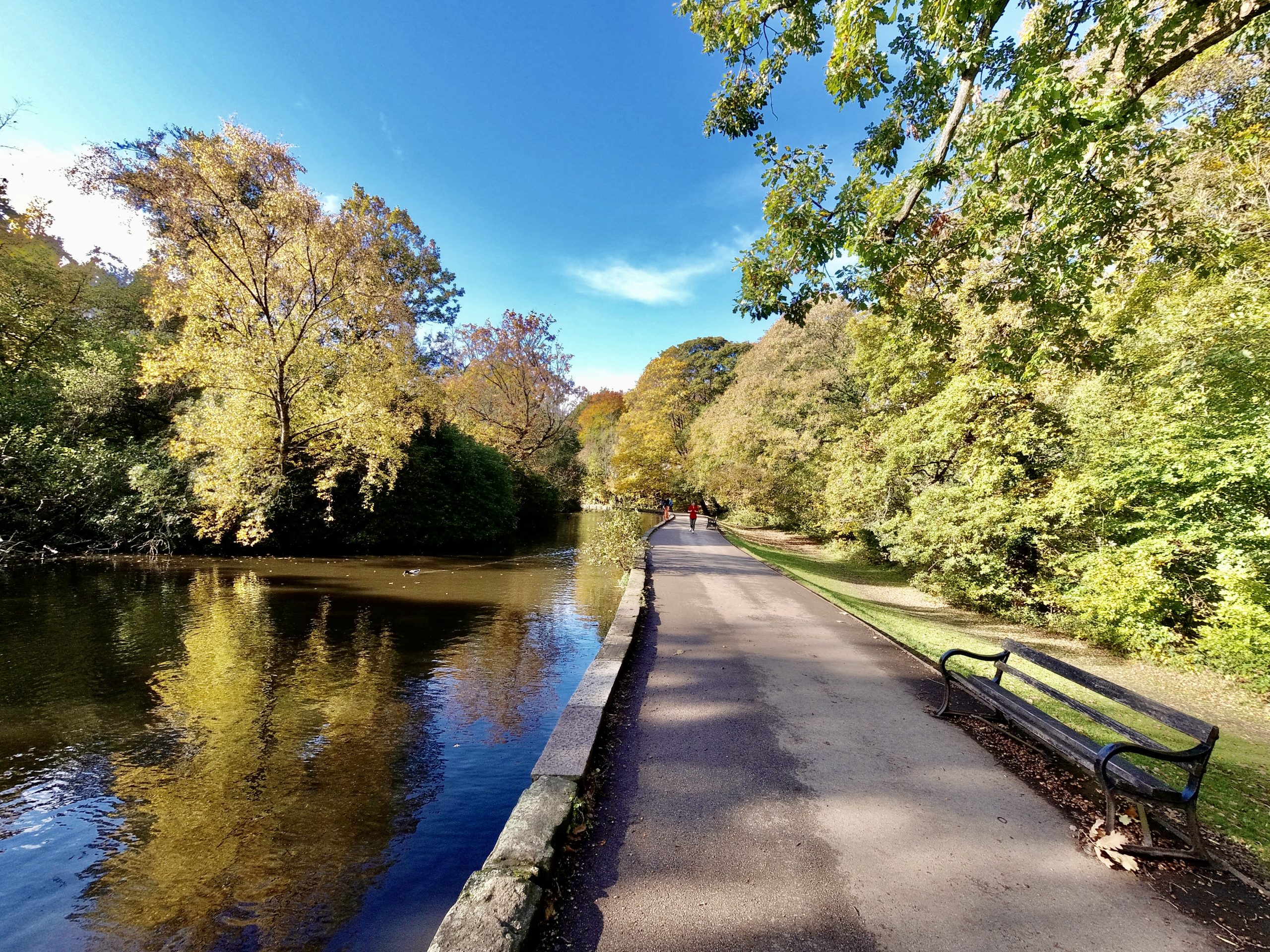 Fwd: Endcliffe Park Sheffield. Keith Bown			
					</div><!-- .entry-content -->
		
		<footer>
		
		
		
					
					</footer><!-- .entry-meta -->
	</article><!-- #post -->
				
											
				
		
<hr class=