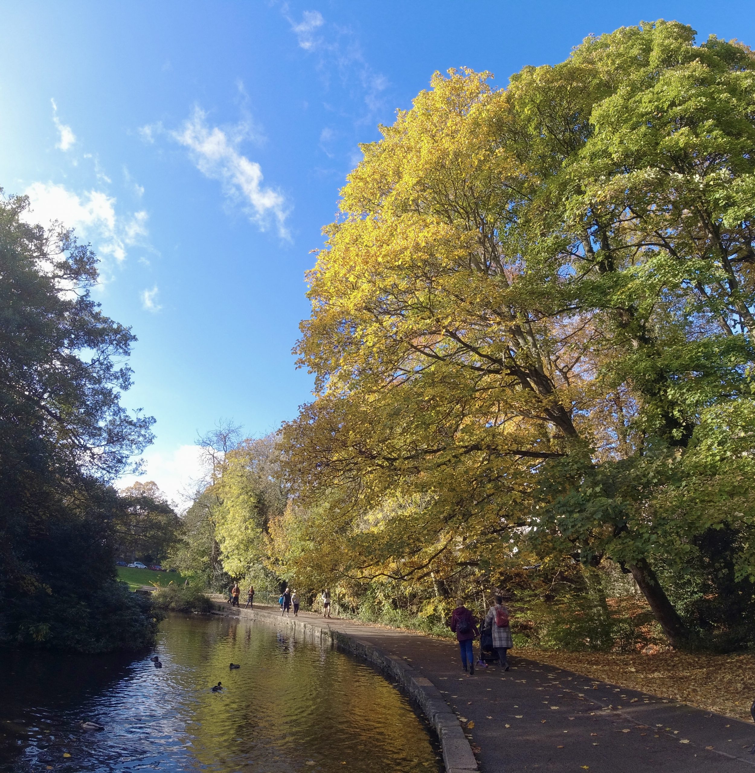 Fwd: Endcliffe Park Sheffield. Keith Bown			
					</div><!-- .entry-content -->
		
		<footer>
		
		
		
					
					</footer><!-- .entry-meta -->
	</article><!-- #post -->
				
											
				
		
<hr class=